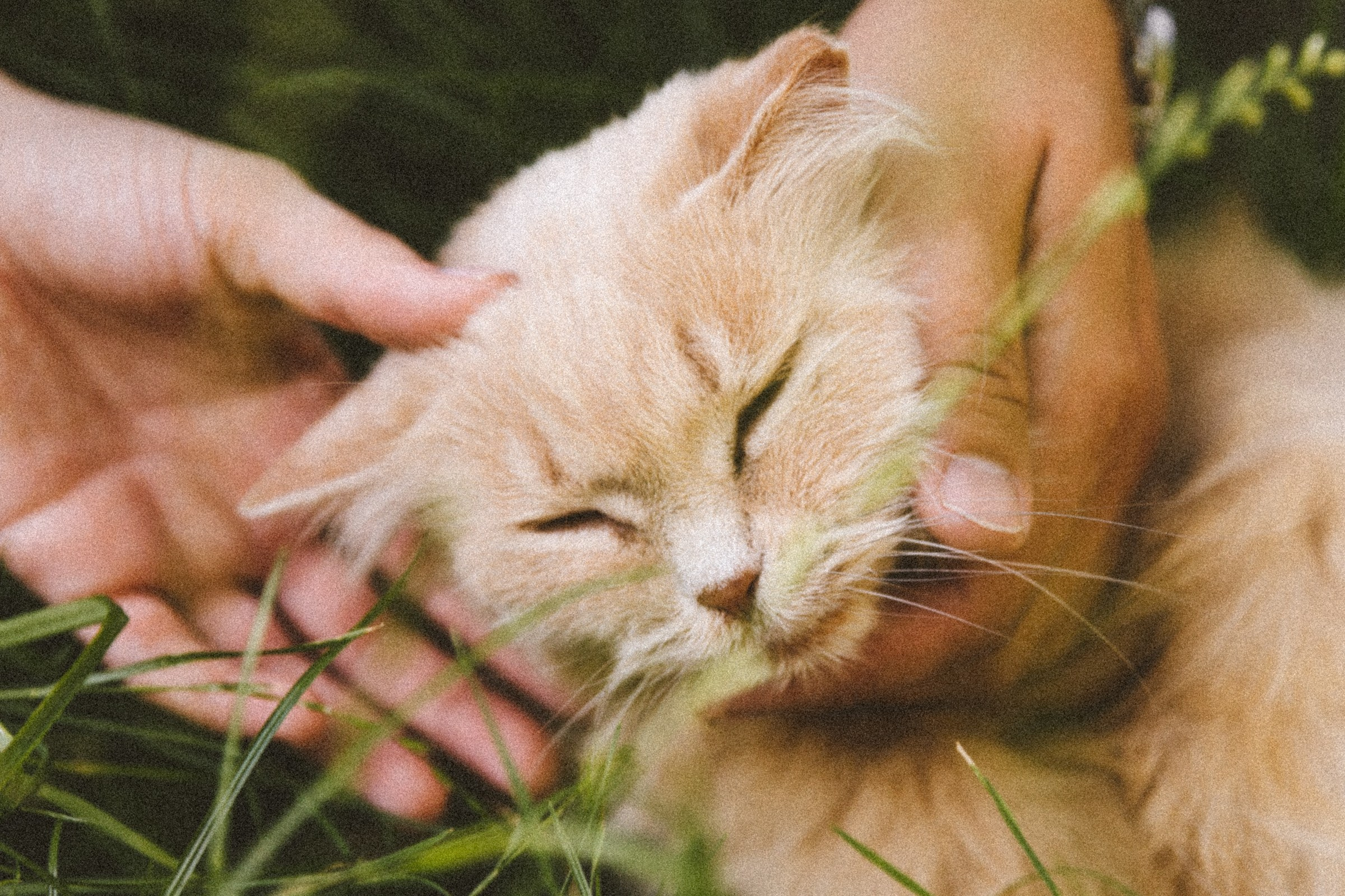 К корням. Свадебный фотограф Марьям Сайфулина г. Красноярск