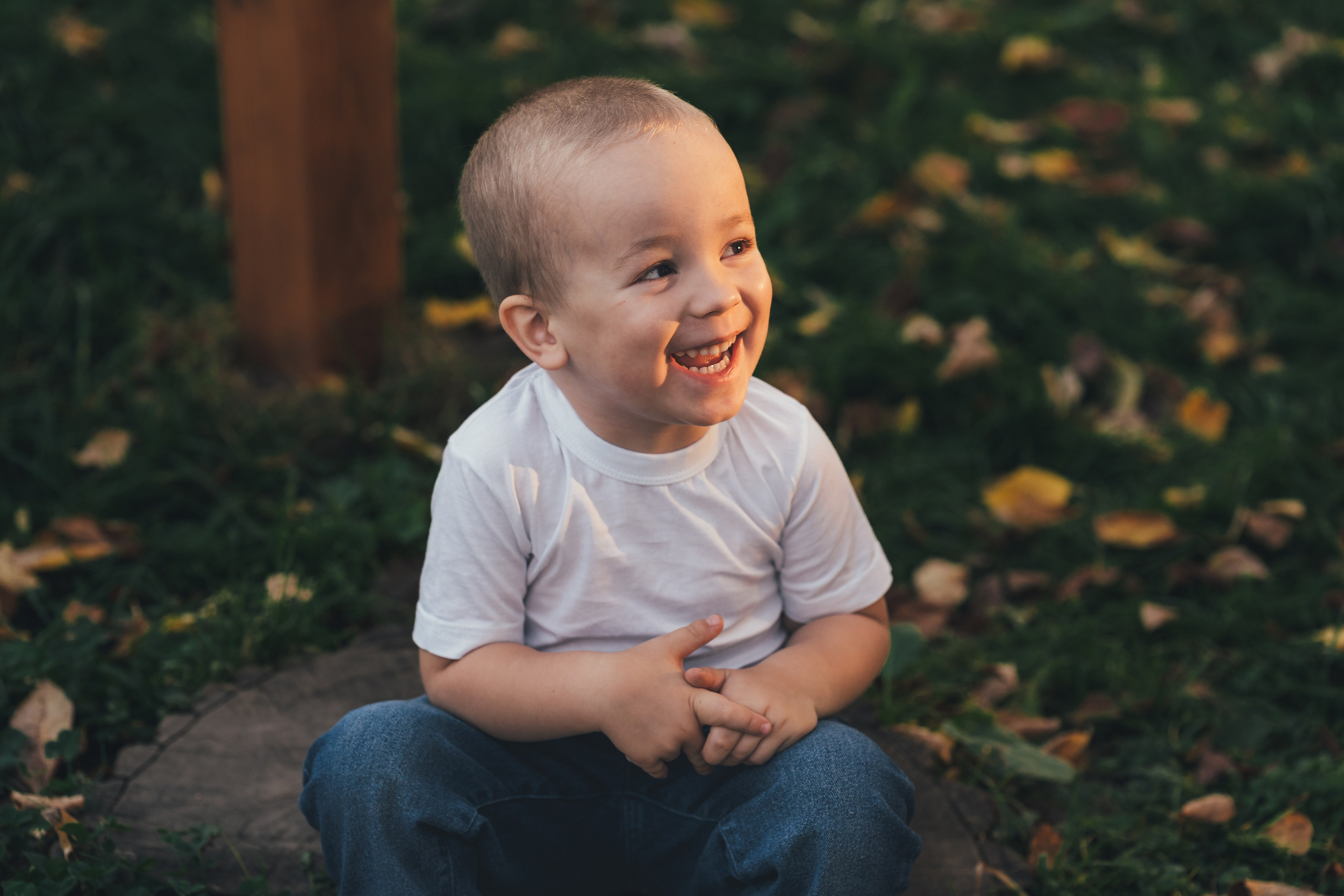 Красивая фотография трехлетнего мальчика на лесном фоне