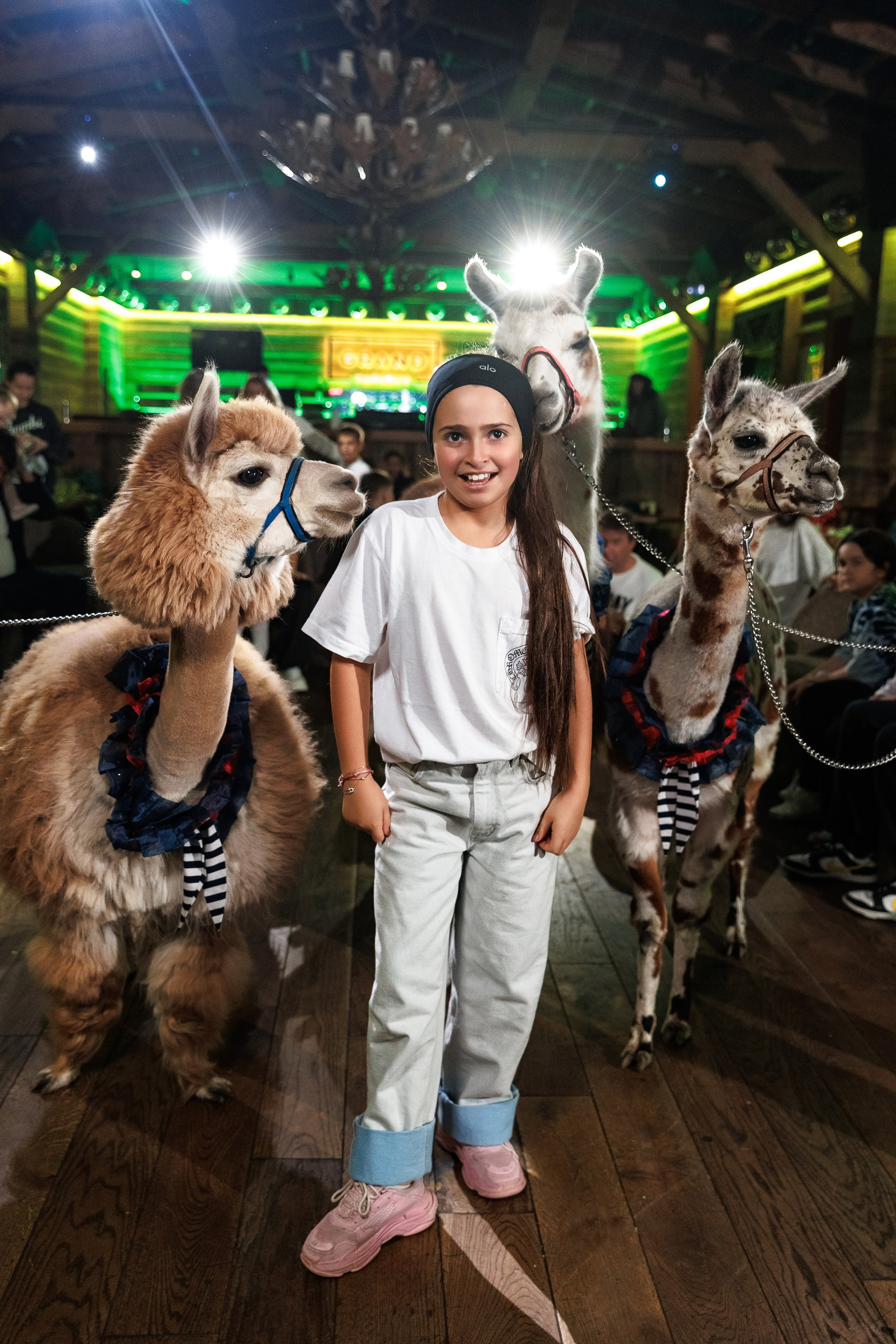 Лама и Альпака