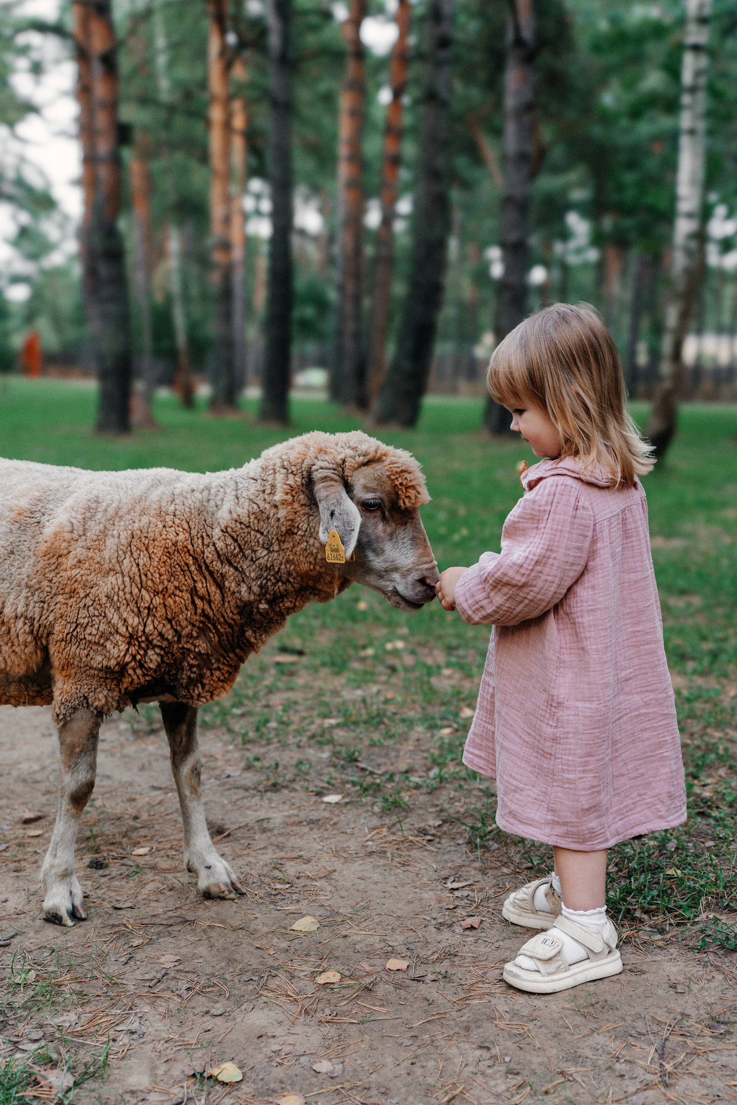 Диприз — в мире диких животных. Ваш семейный фотограф в Минске — Вика Трегубова