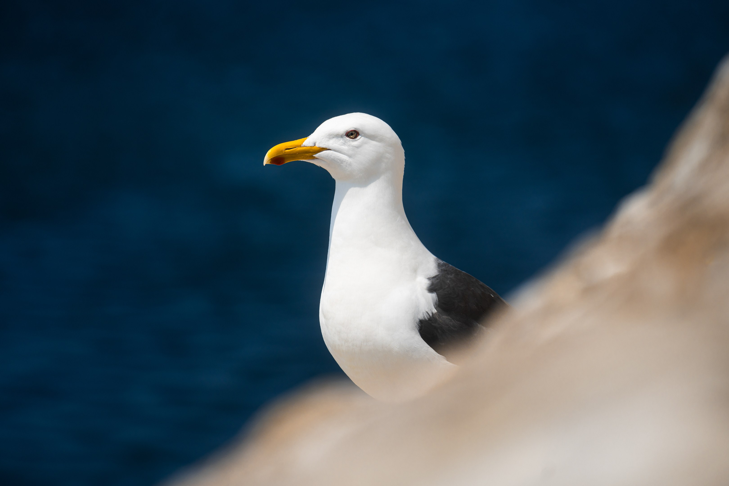 游览阿尼瓦灯塔. Ivan Zaitsev (IZIART) — 通过照片和视频创建文化代码