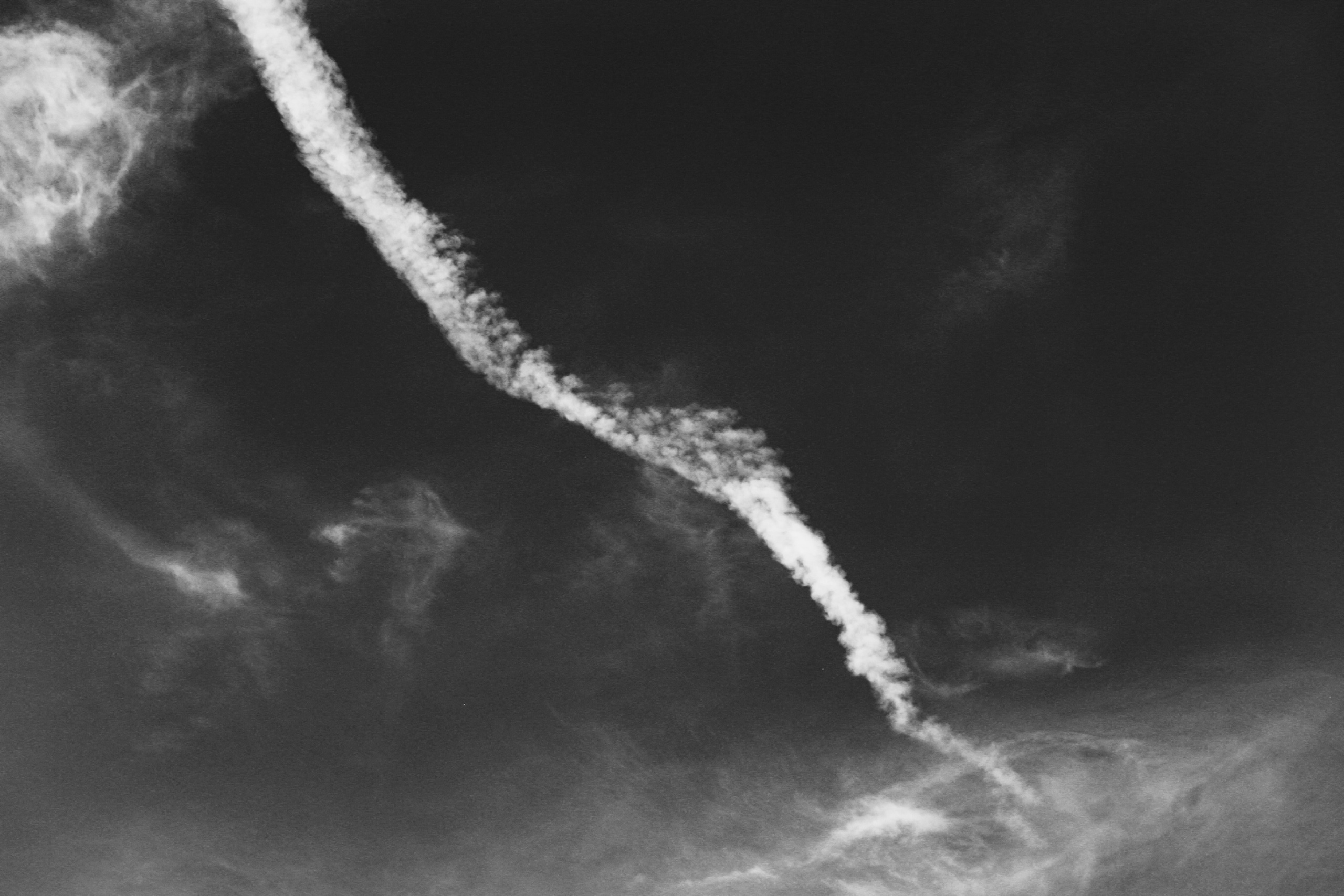 Среди люпинов. Efremovaphoto.ru