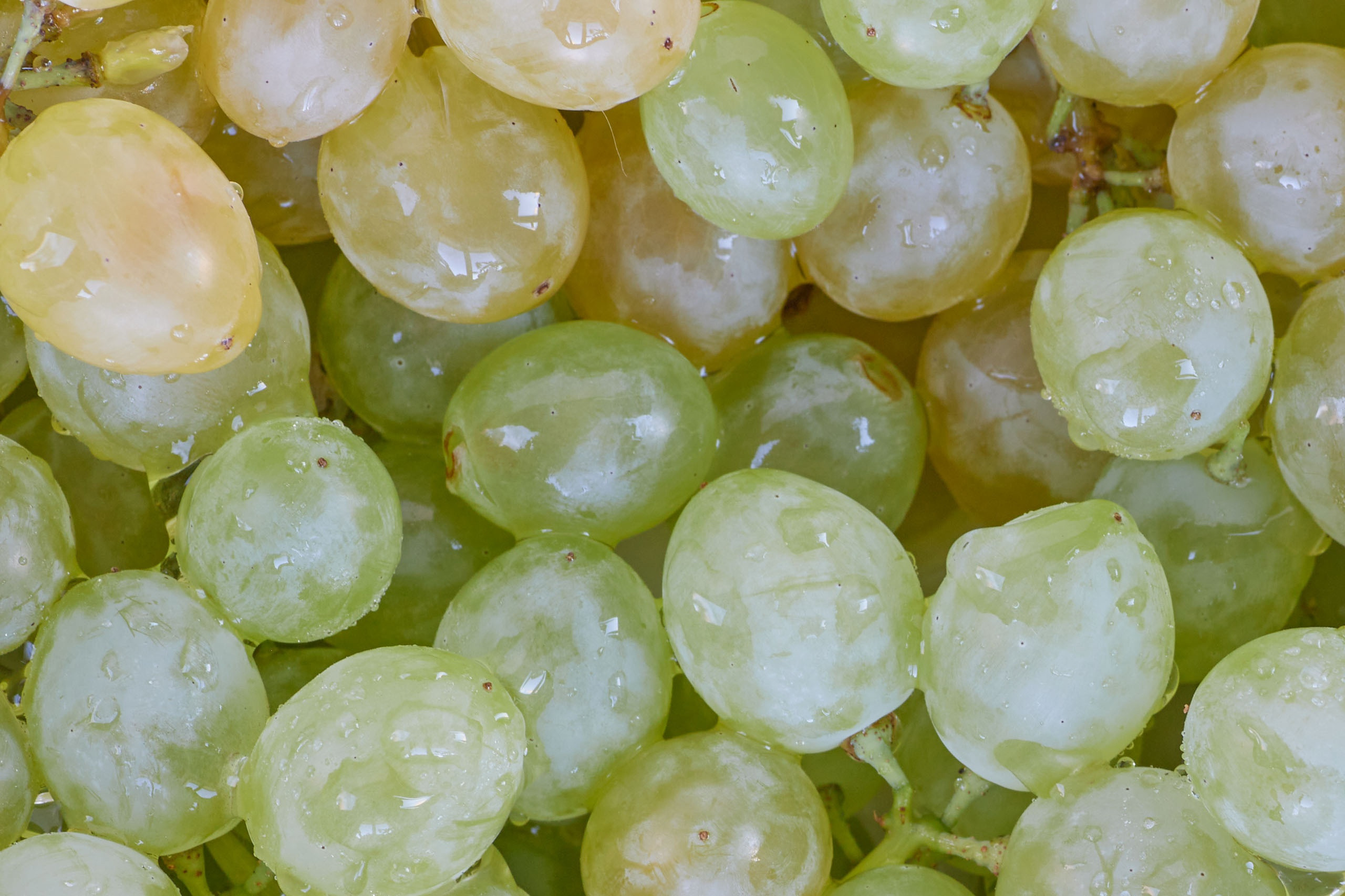 Фуд фотография. Предметный и контентный фотограф в Москве Курочкина Оксана