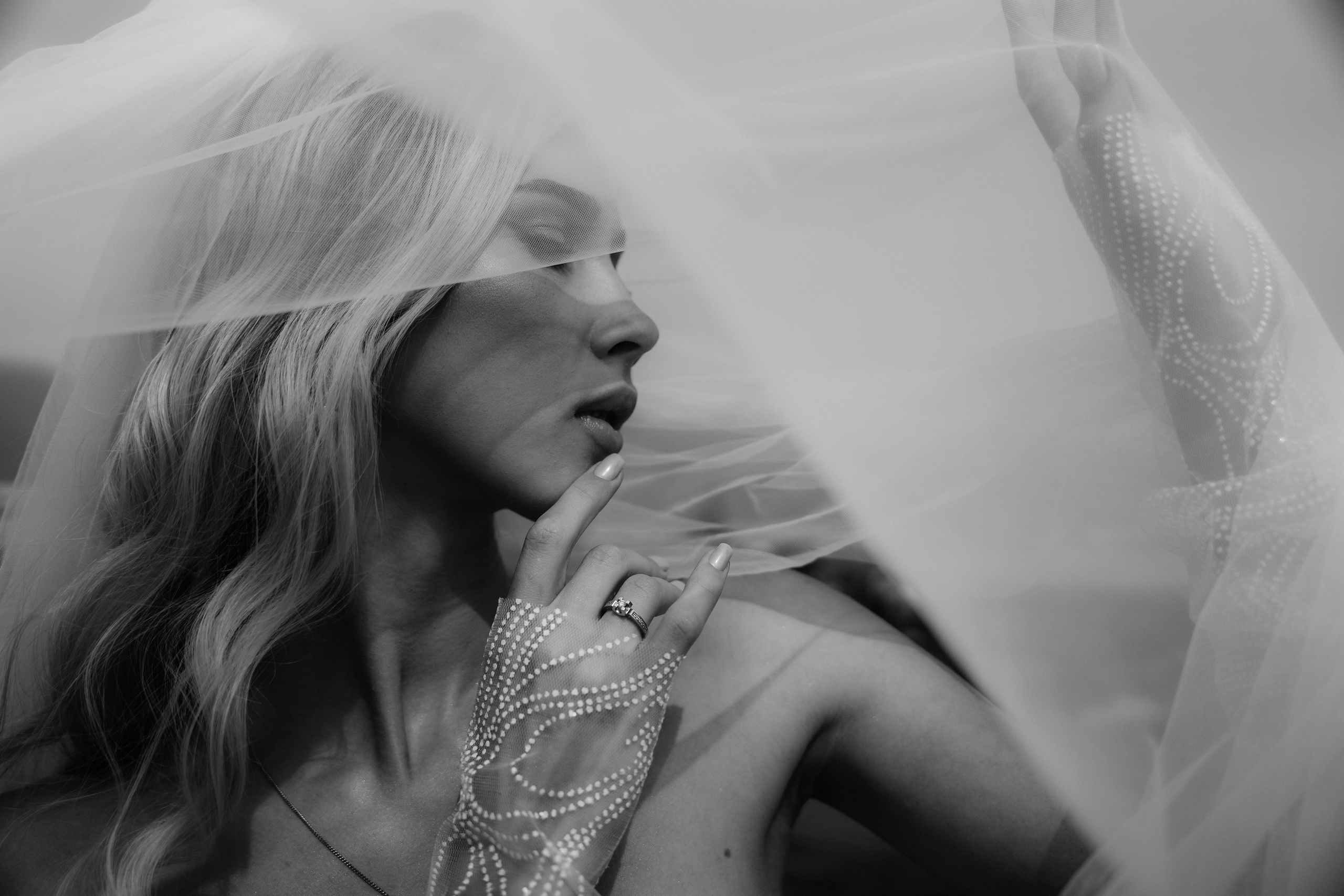 Astoria. VISUAL ARTIST · KRONGAUZ ANASTASIA