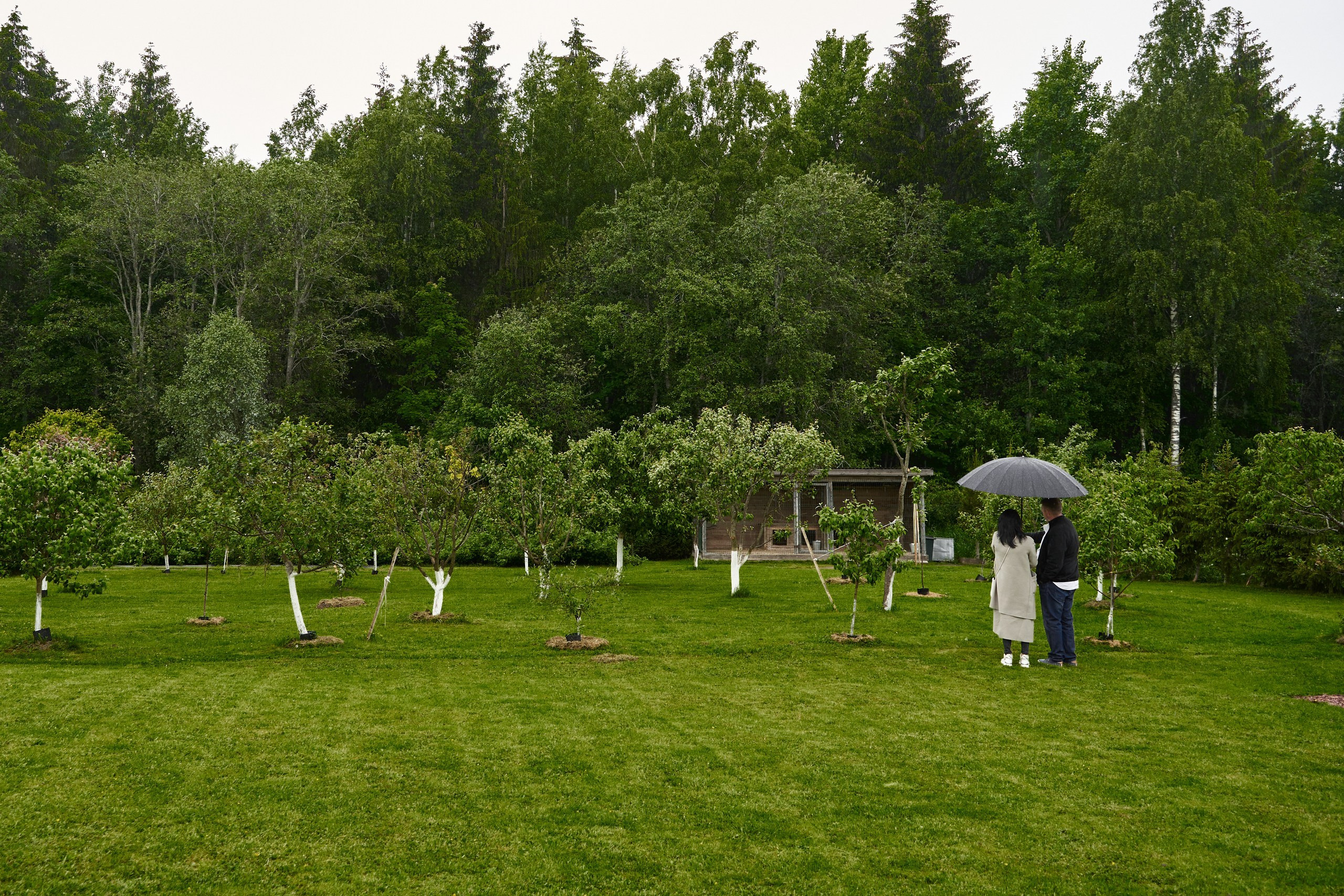 Репортажный фотограф на праздник на день рождения фоторепортаж