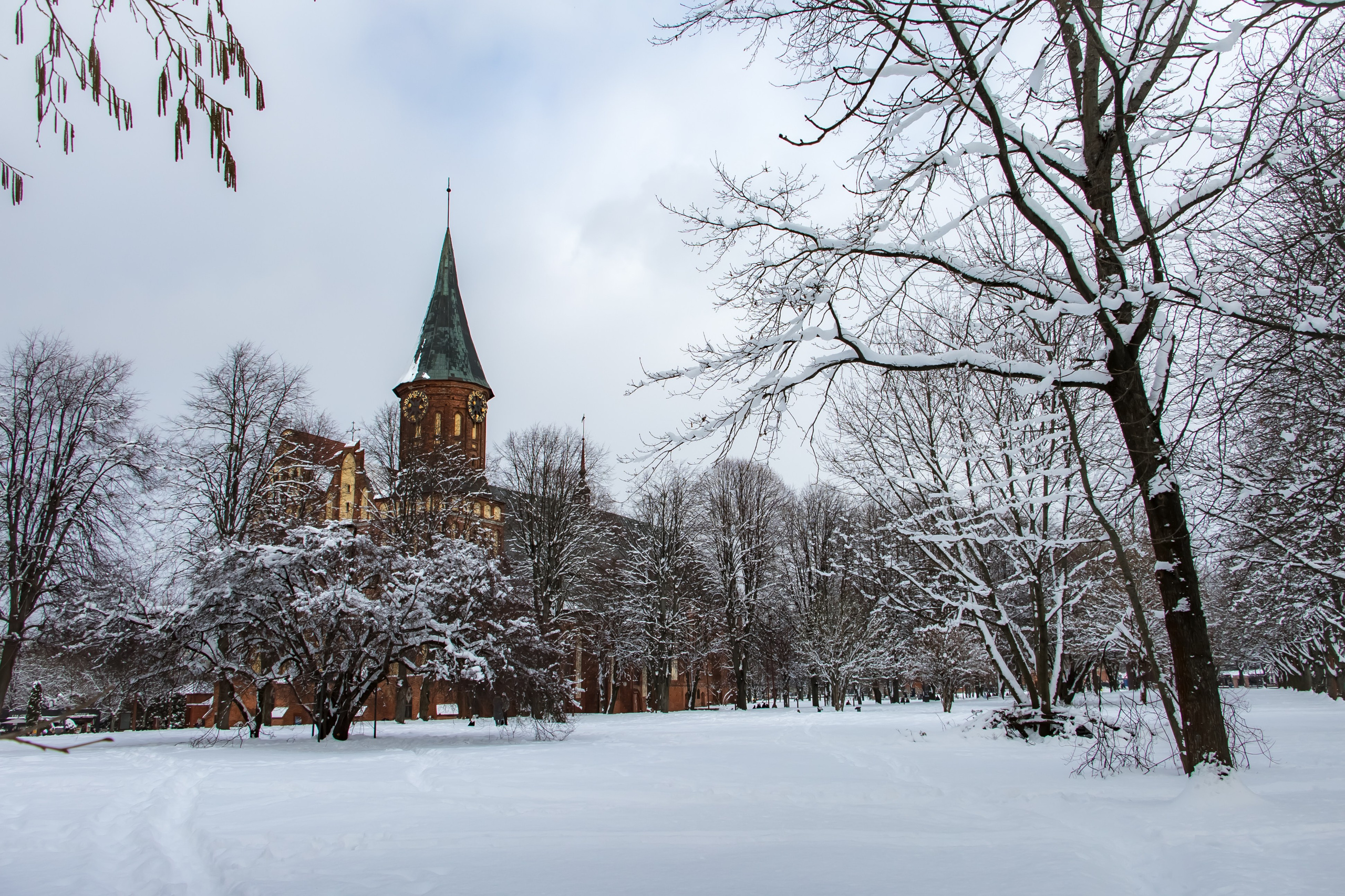 https://lori.ru/46691468 Kaliningrad, Kaliningrad Region Russia, February 16, 2025 Cathedral on the island of Kant in winter