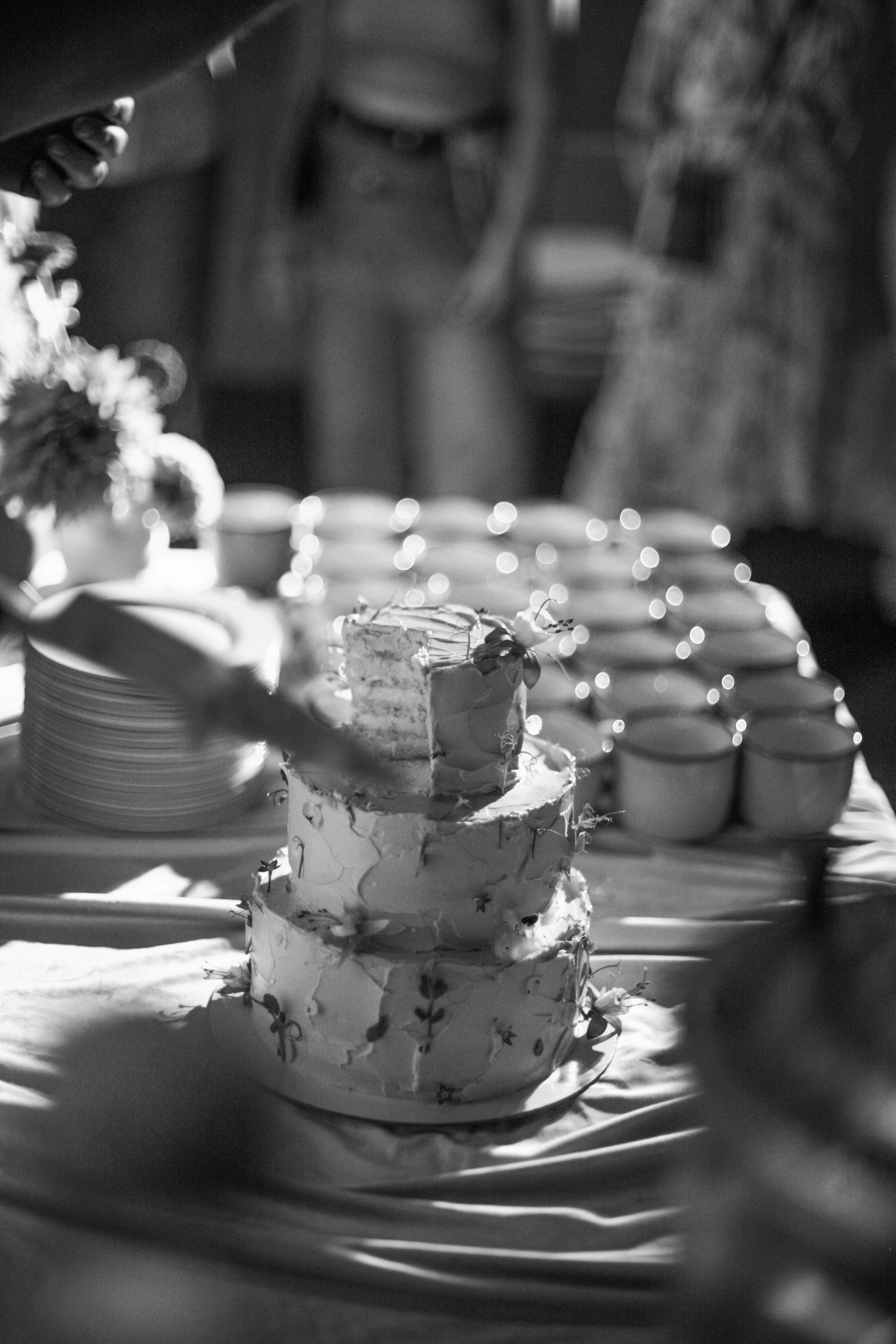 Аня и Кирилл (полный день с росписью). Фотограф Екатерина Максимова: семейные, индивидуальные съемки, свадьбы