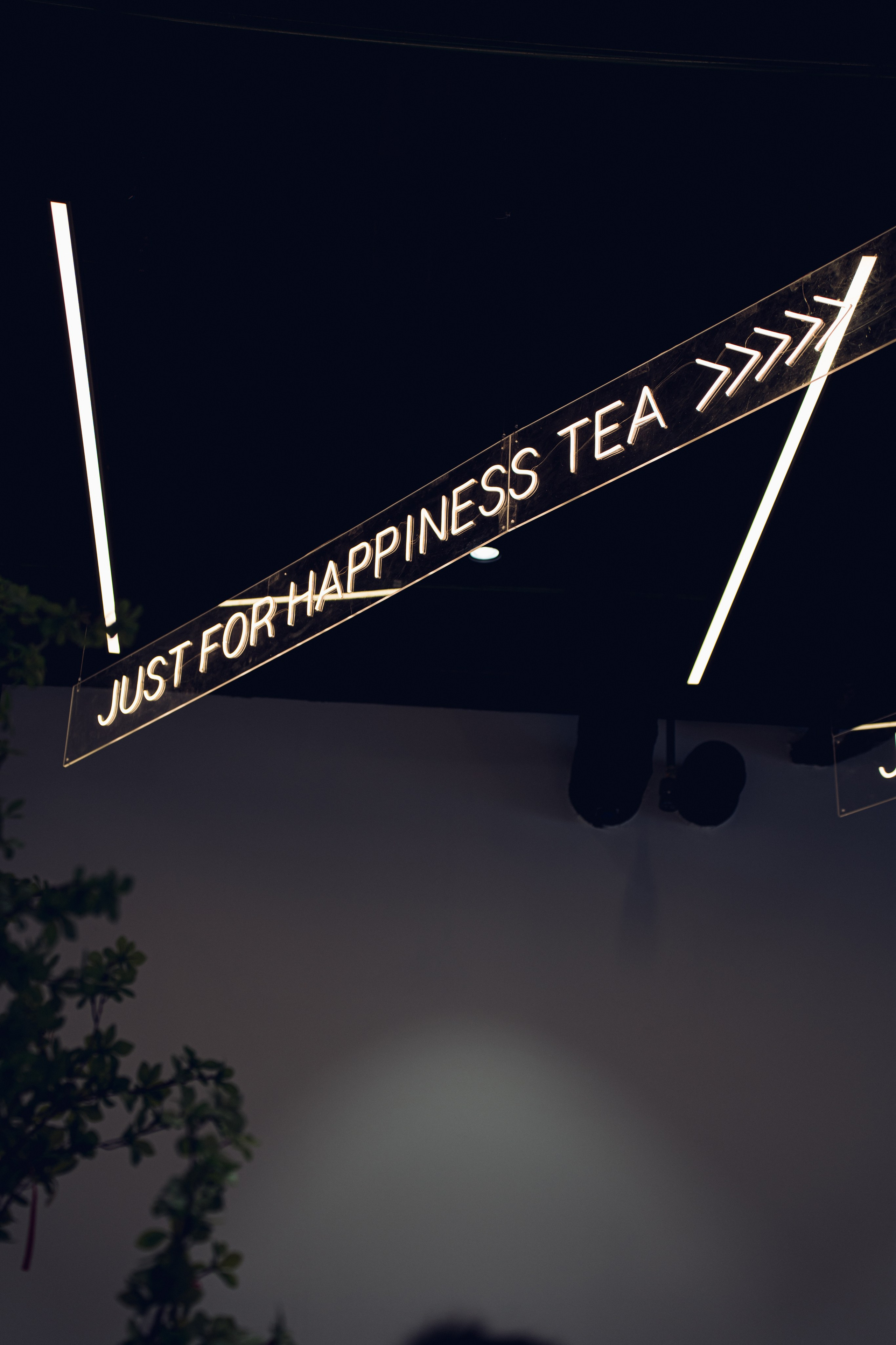 Прогулка 05.08.2024. Фотограф Мирослава Ряполова, Москва