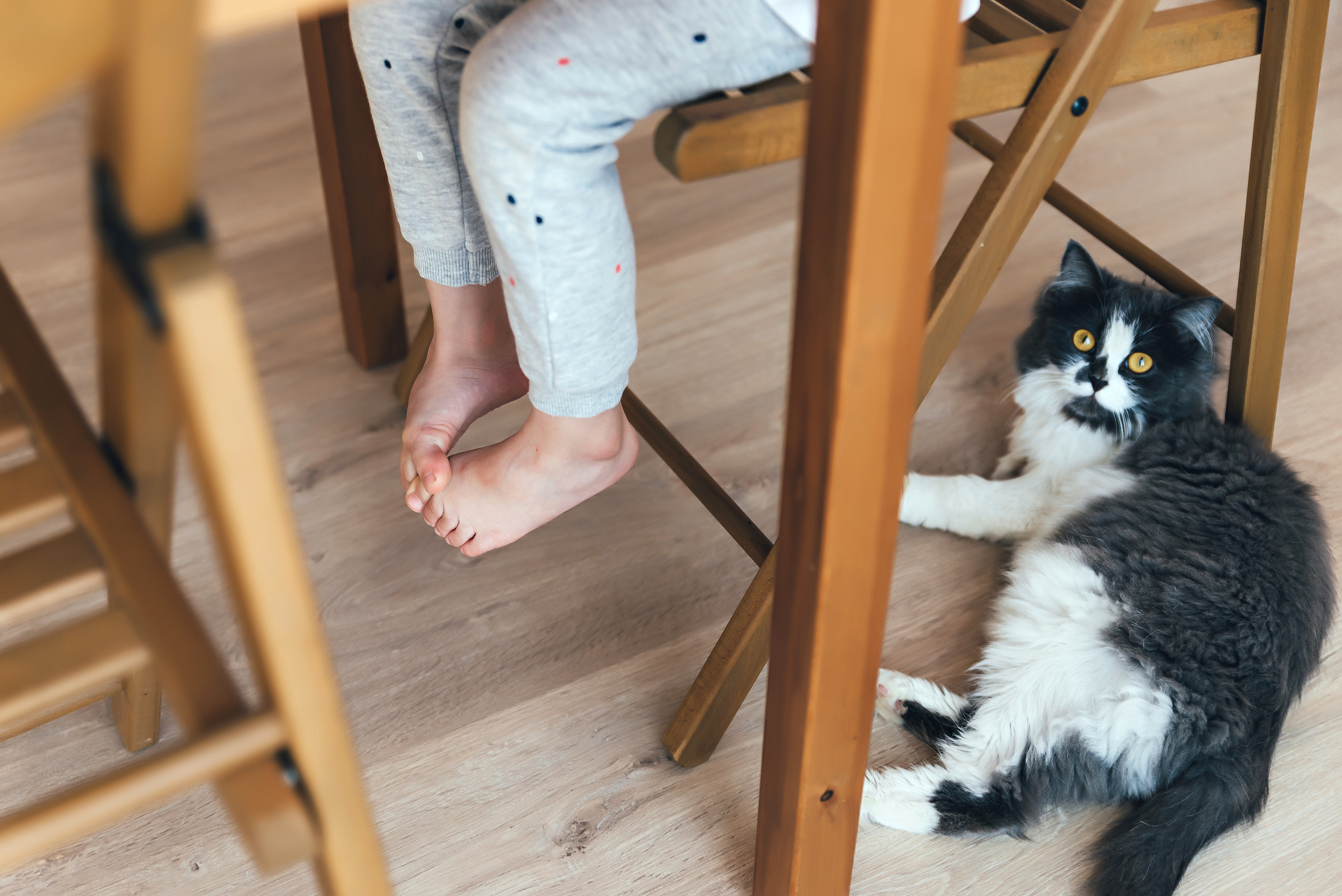 Домашняя история. Семейный и свадебный фотограф в Новосибирске Мария Гоппе (Харина)