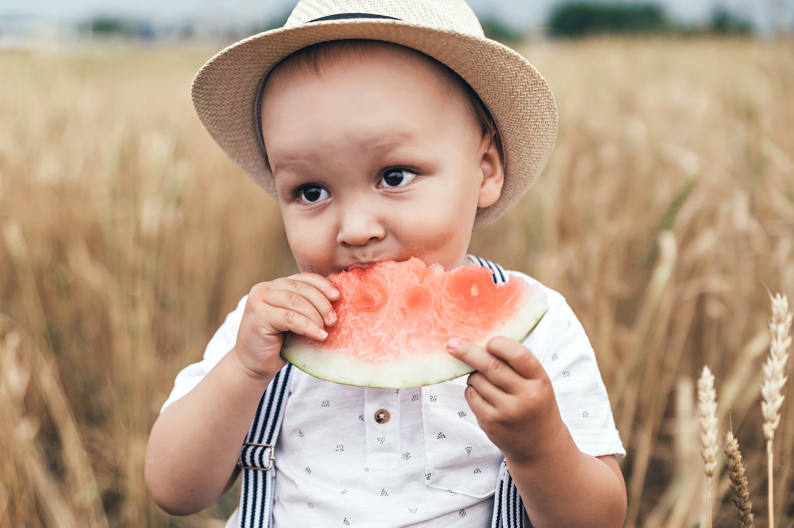 В пшеничном поле. Семейный и свадебный фотограф в Новосибирске Мария Гоппе (Харина)