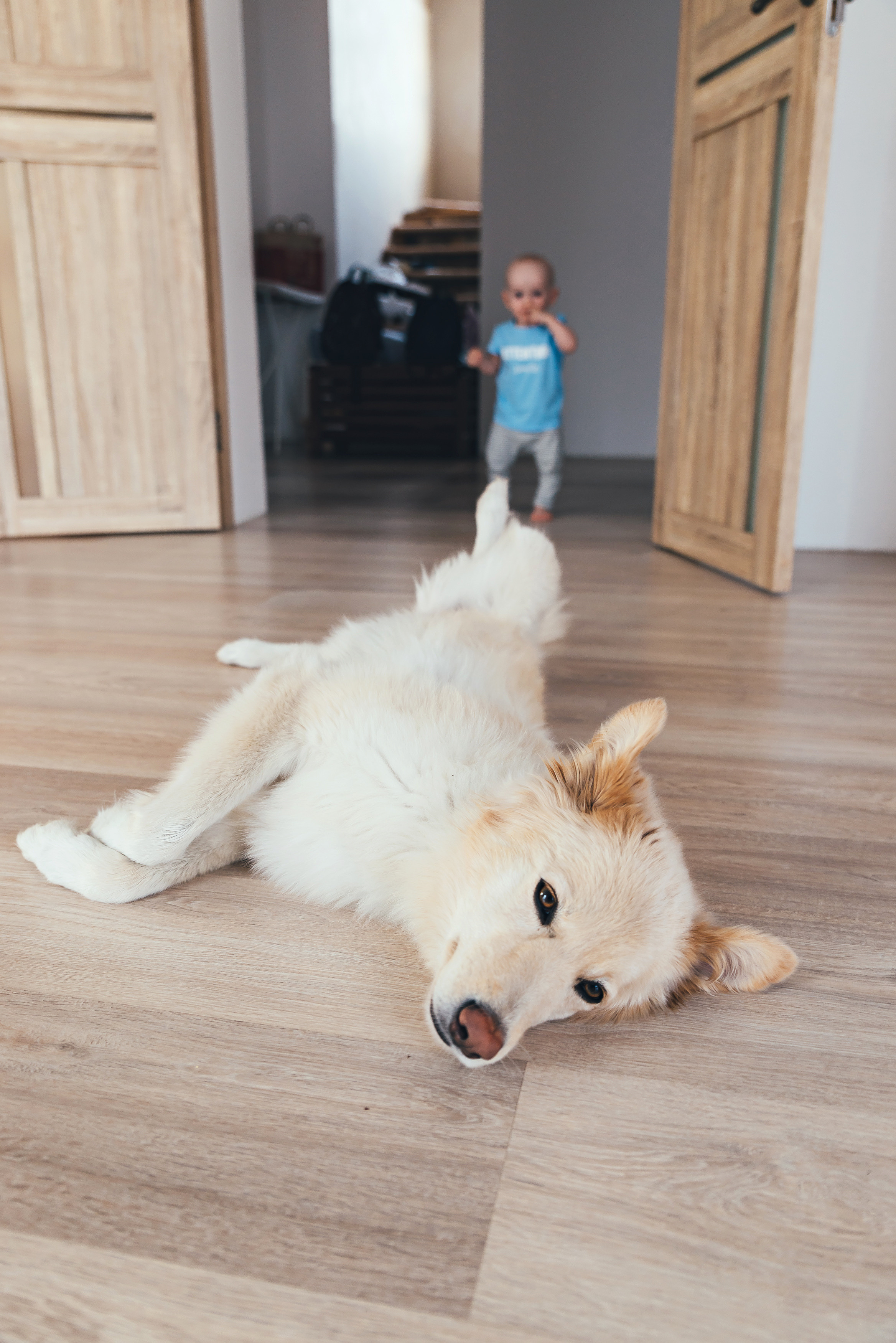 Домашняя история. Семейный и свадебный фотограф в Новосибирске Мария Гоппе (Харина)
