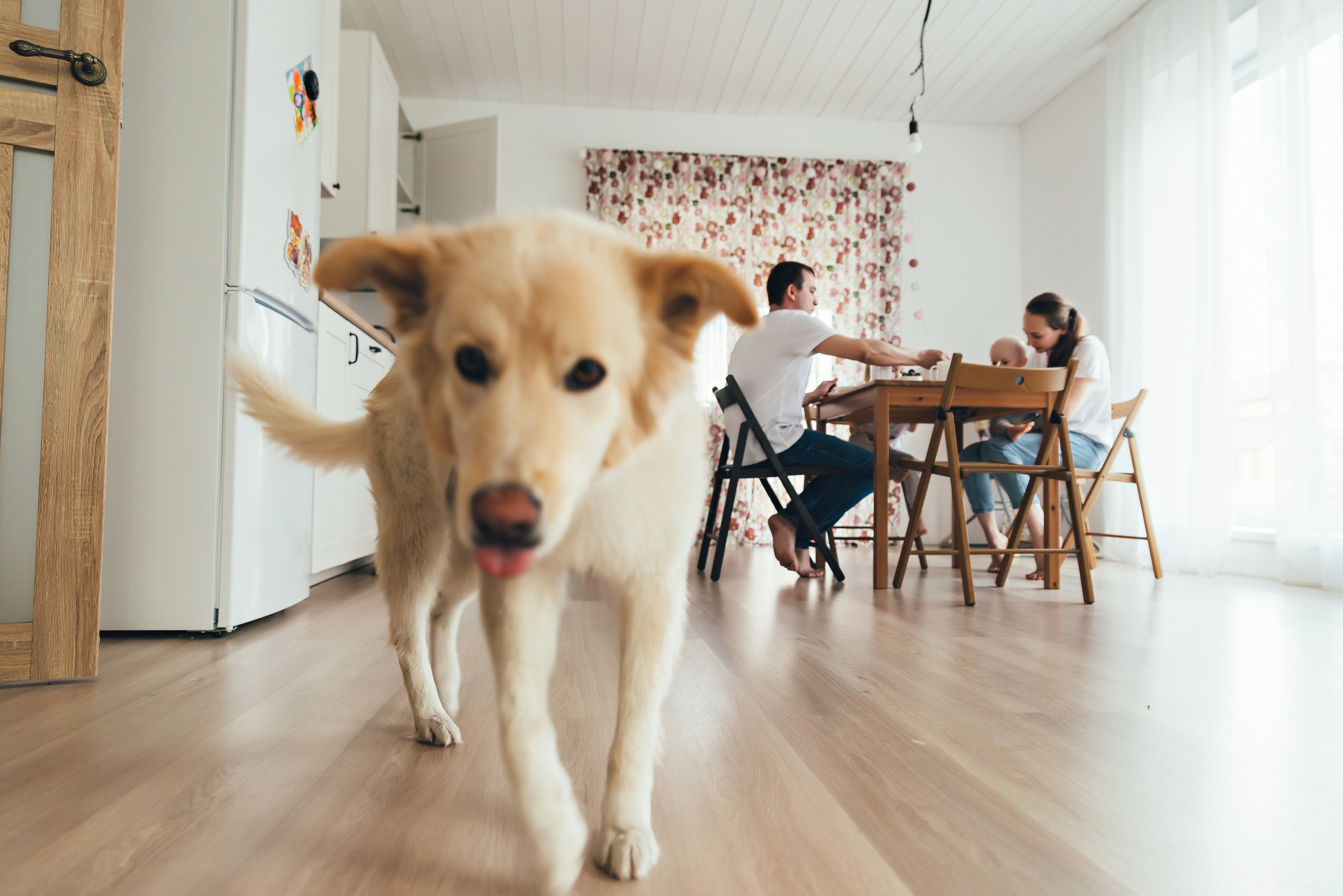 Домашняя история. Семейный и свадебный фотограф в Новосибирске Мария Гоппе (Харина)