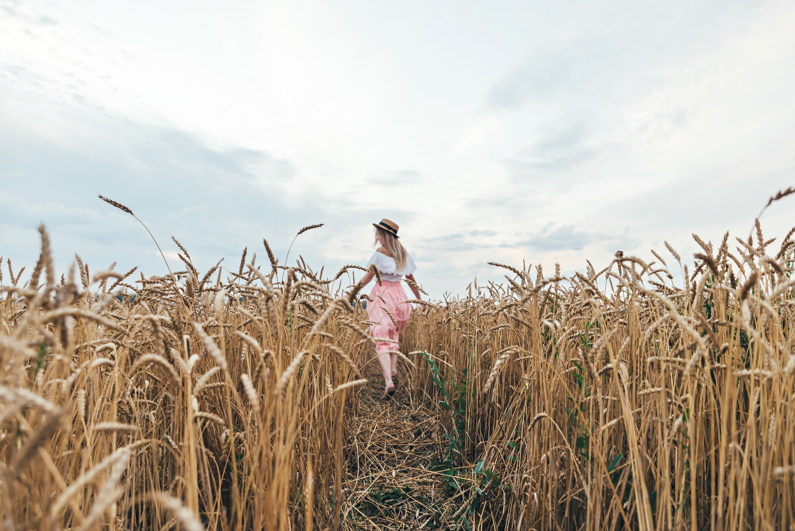 В поле. Семейный и свадебный фотограф в Новосибирске Мария Гоппе (Харина)