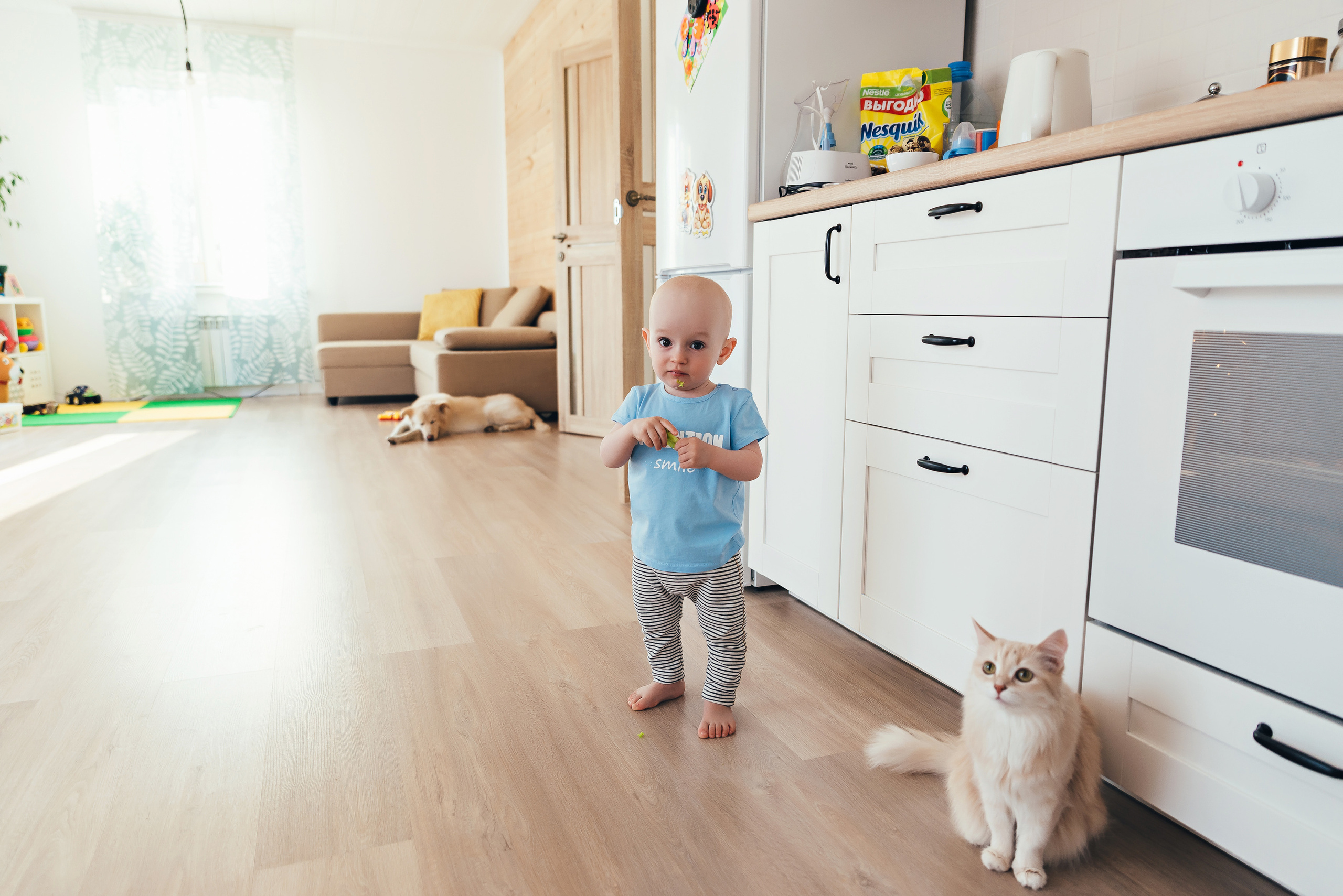 Домашняя история. Семейный и свадебный фотограф в Новосибирске Мария Гоппе (Харина)