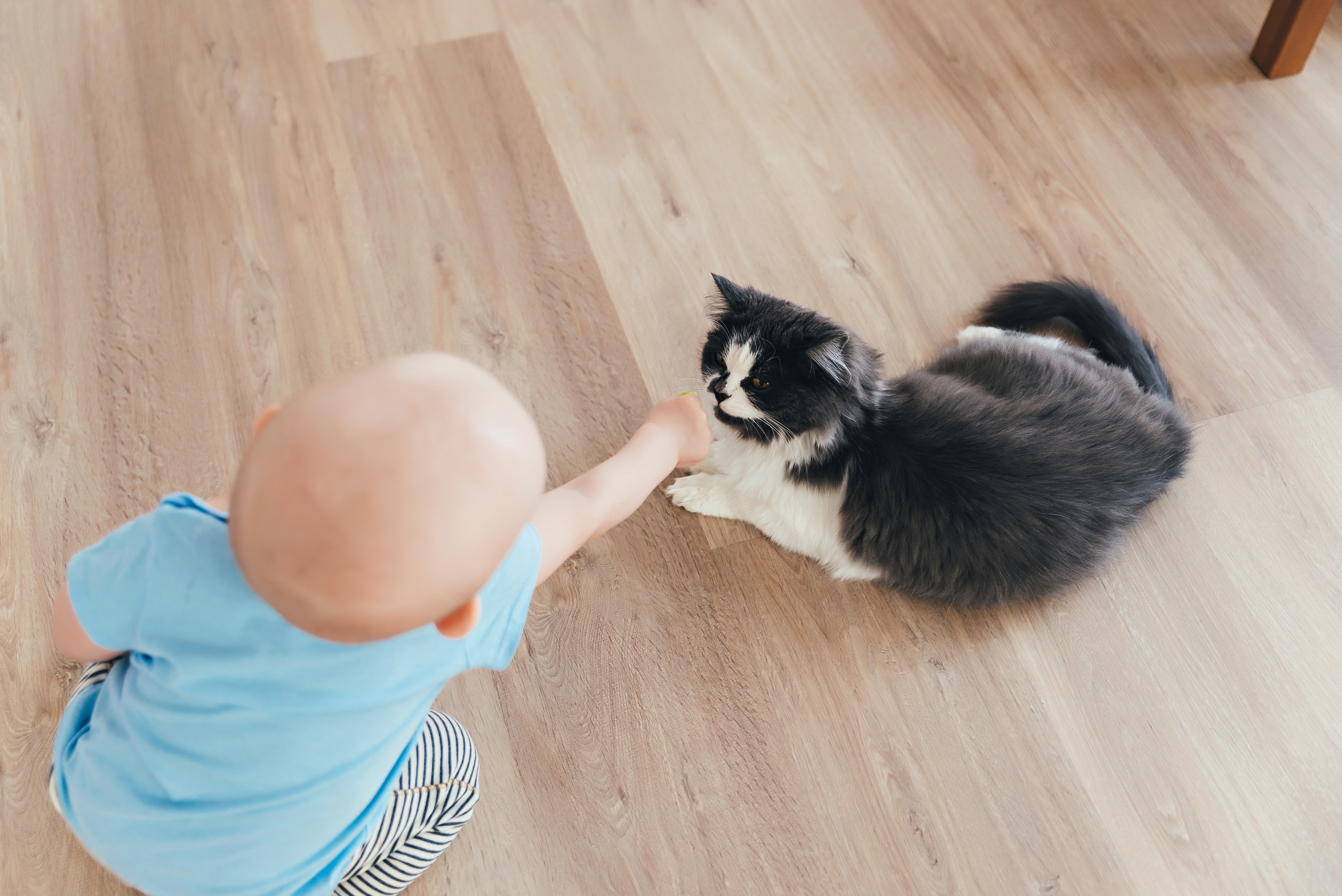 Домашняя история. Семейный и свадебный фотограф в Новосибирске Мария Гоппе (Харина)