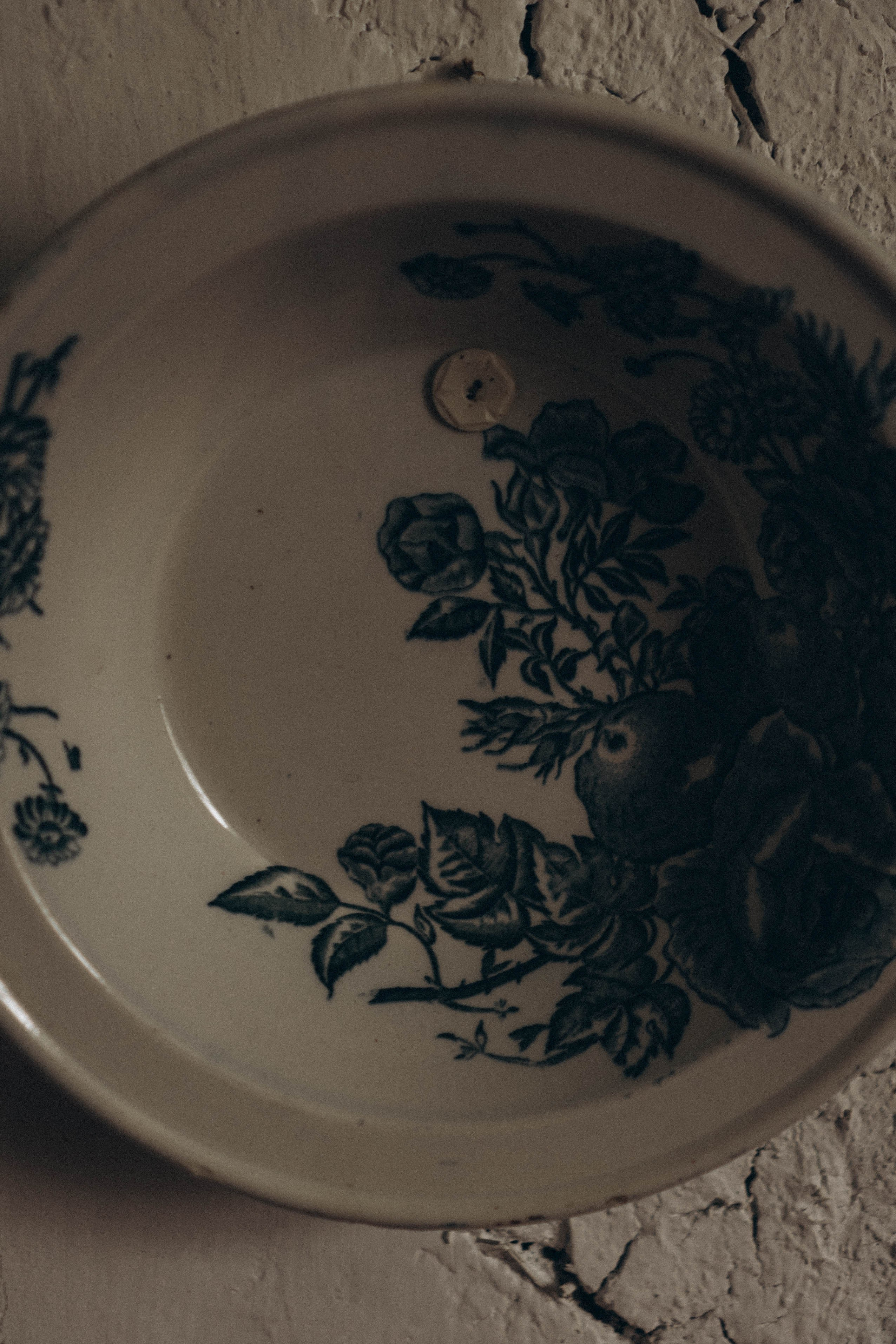 Кавказ. Профессиональный фотограф, Санкт-Петербург — Виктория Богомолова