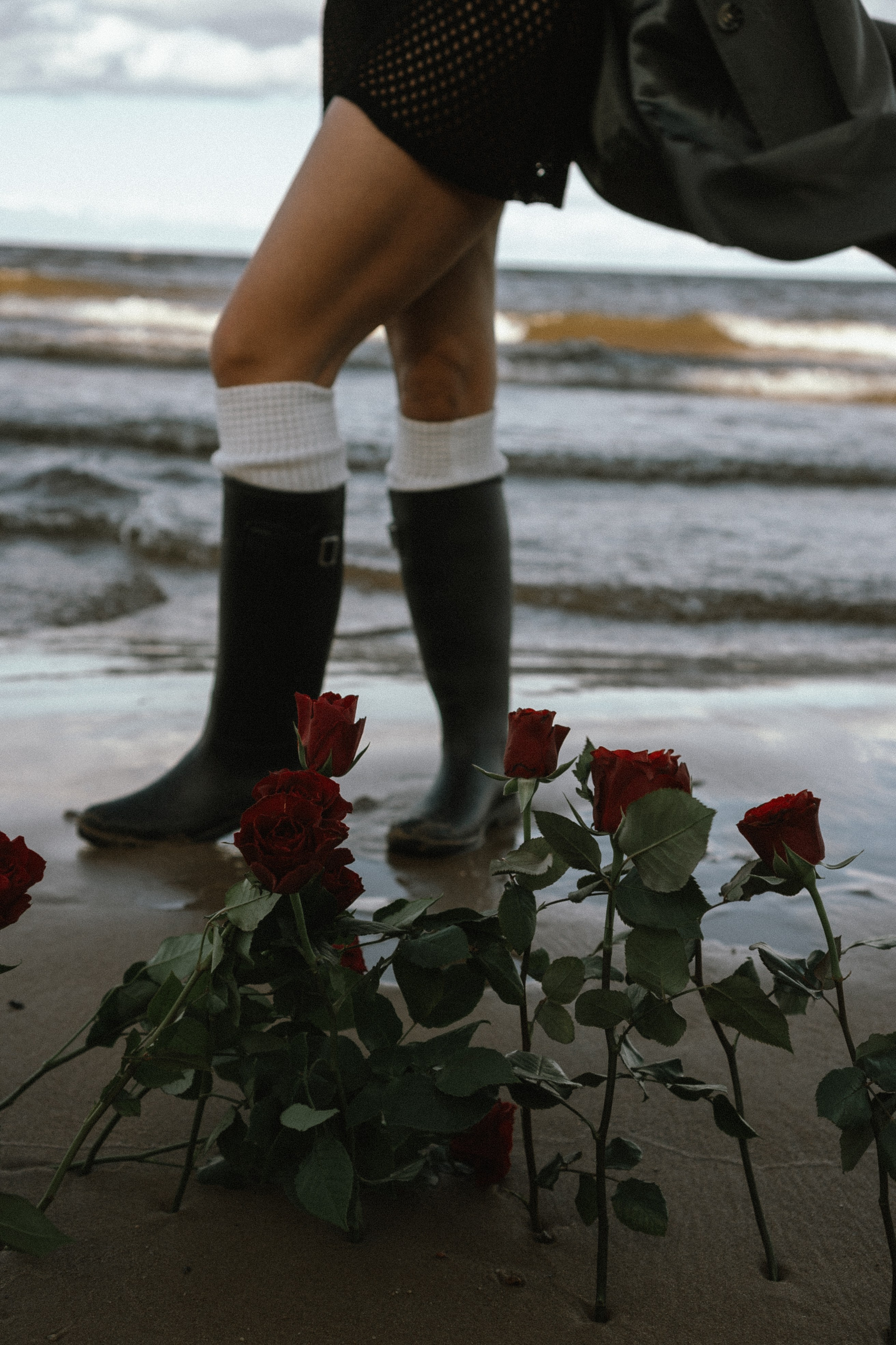 Розы. Профессиональный фотограф, Санкт-Петербург — Виктория Богомолова