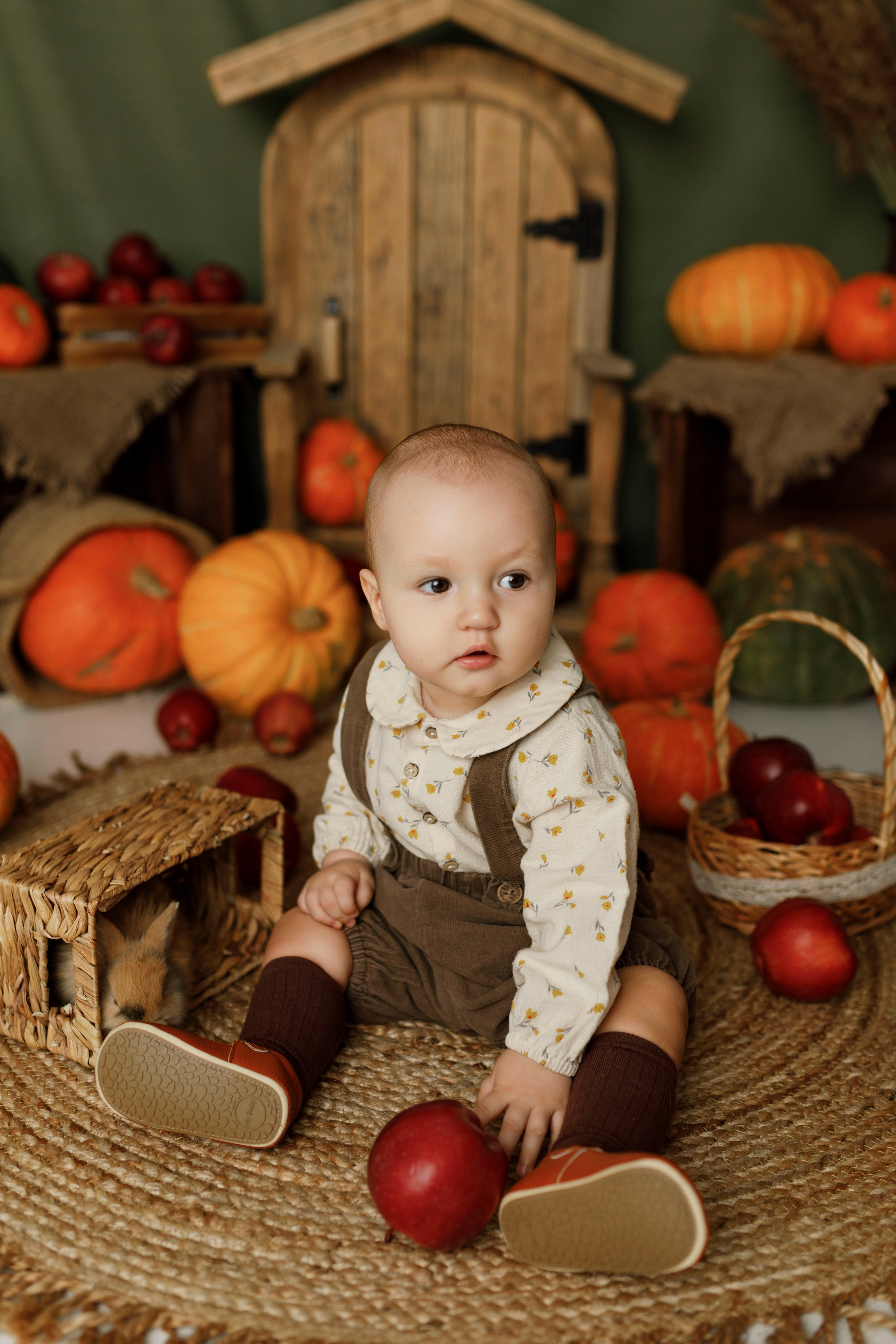 Фотопроекты. Фотограф новорождённых семейный фотограф Томск Елена Каплина