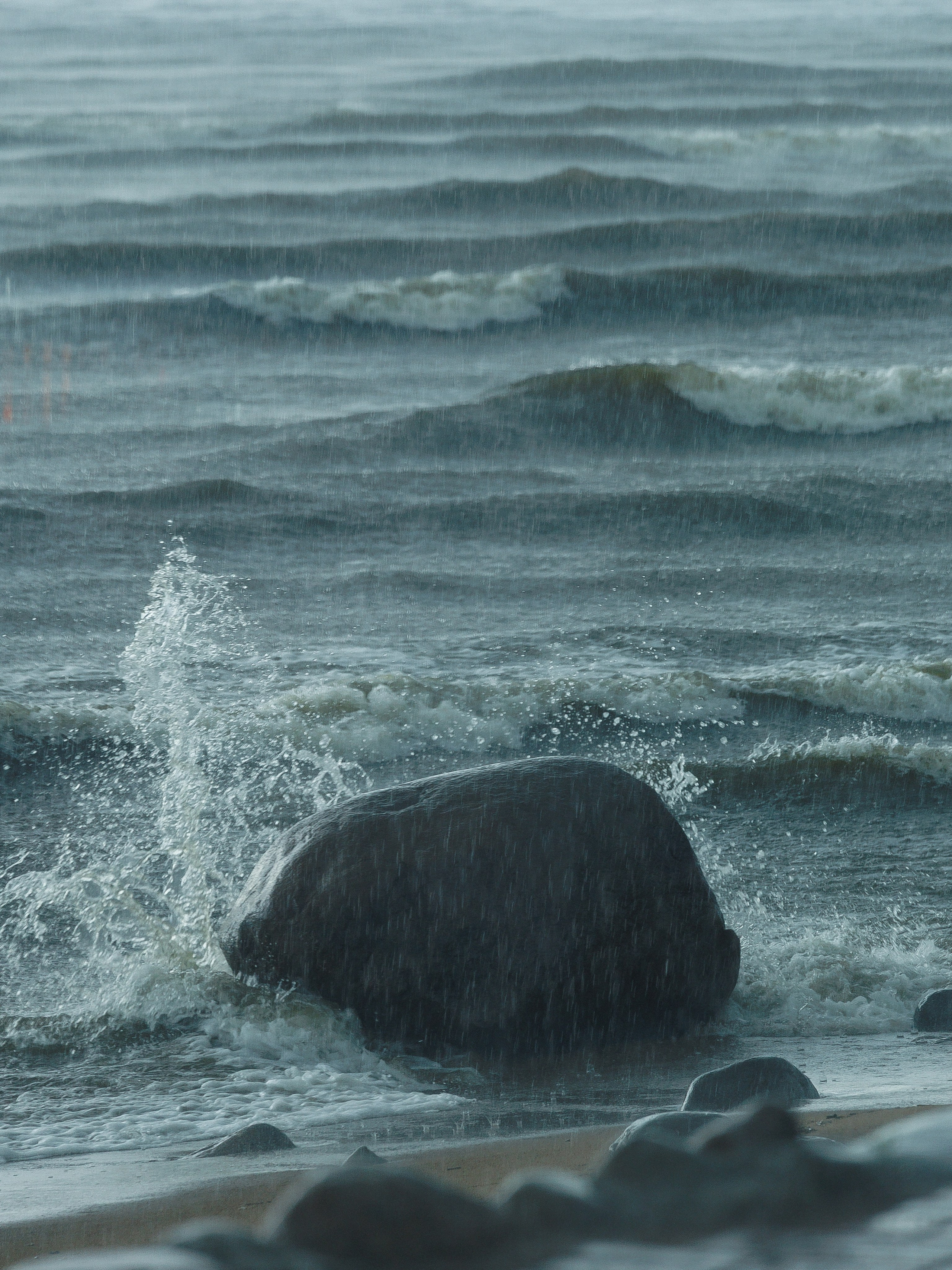 Павел и Анастасия. Свадебное агентство Amorewed Agency