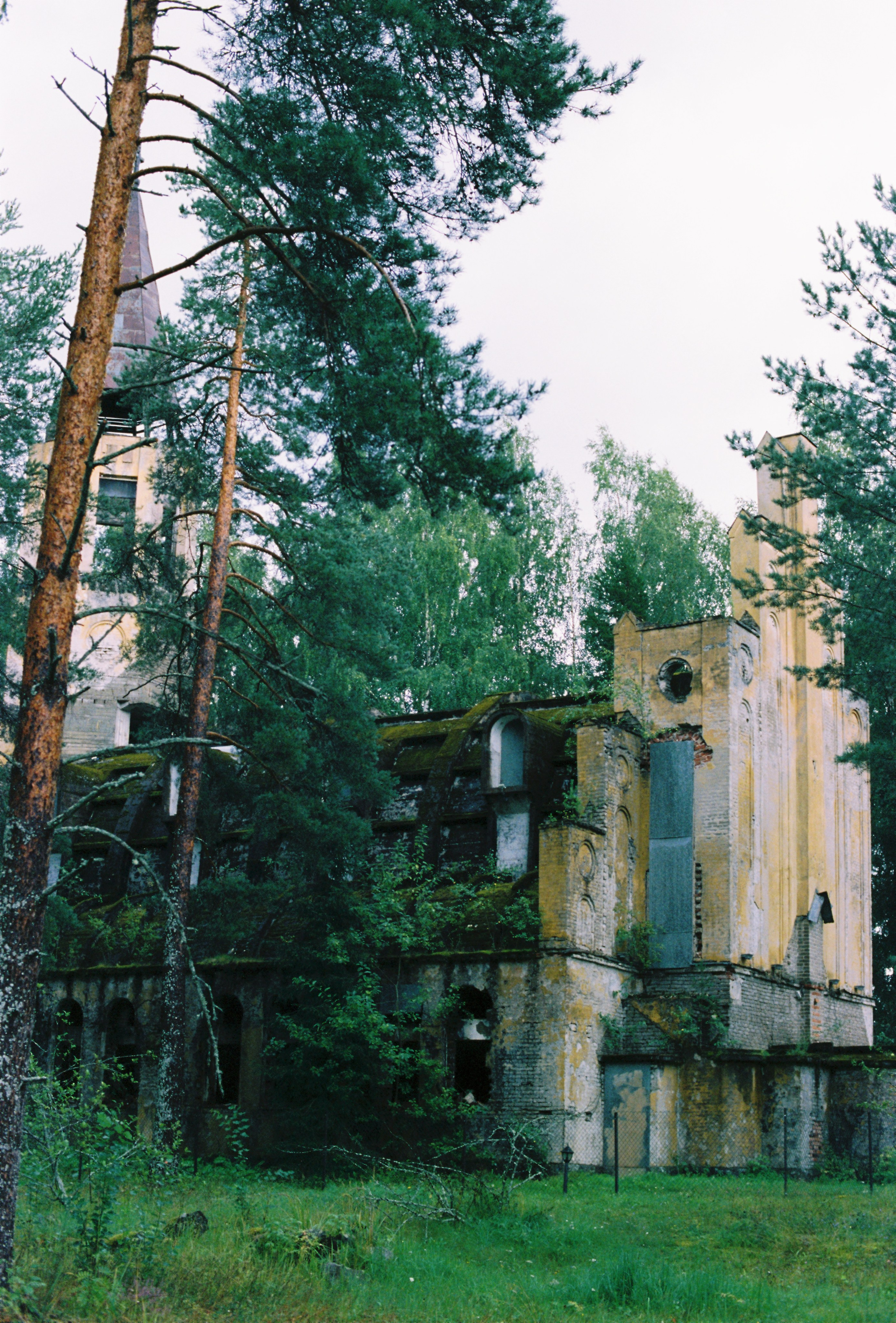 #2 August '24. Vladimir Tatko