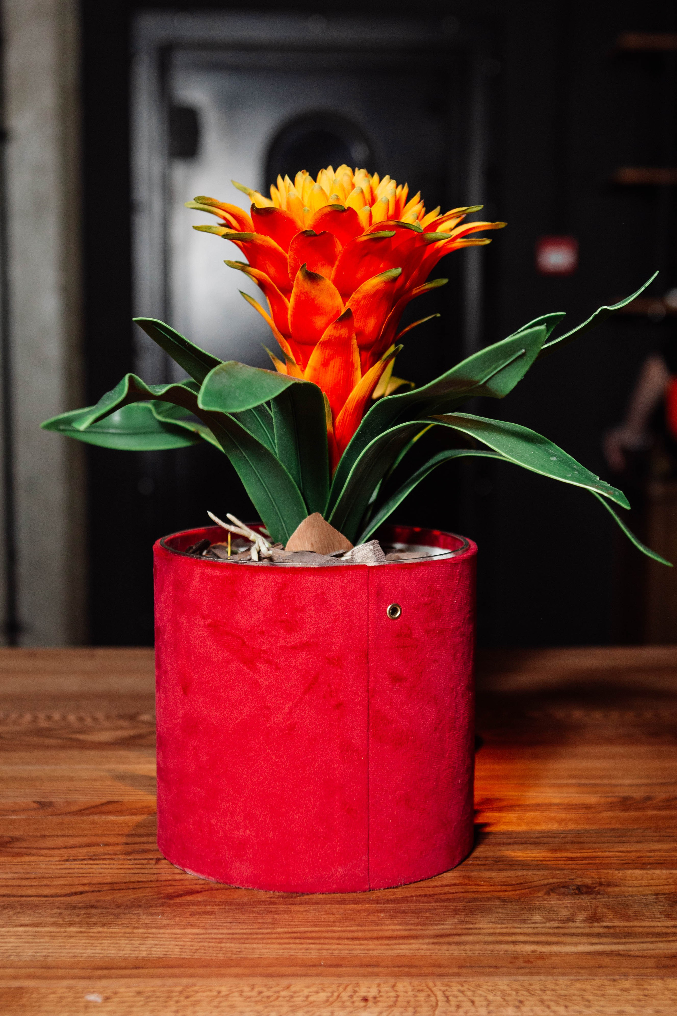 TREFF8. Репортажный фотограф Москва (детские праздники, квизы, концерты, дни рождения, свадьбы)