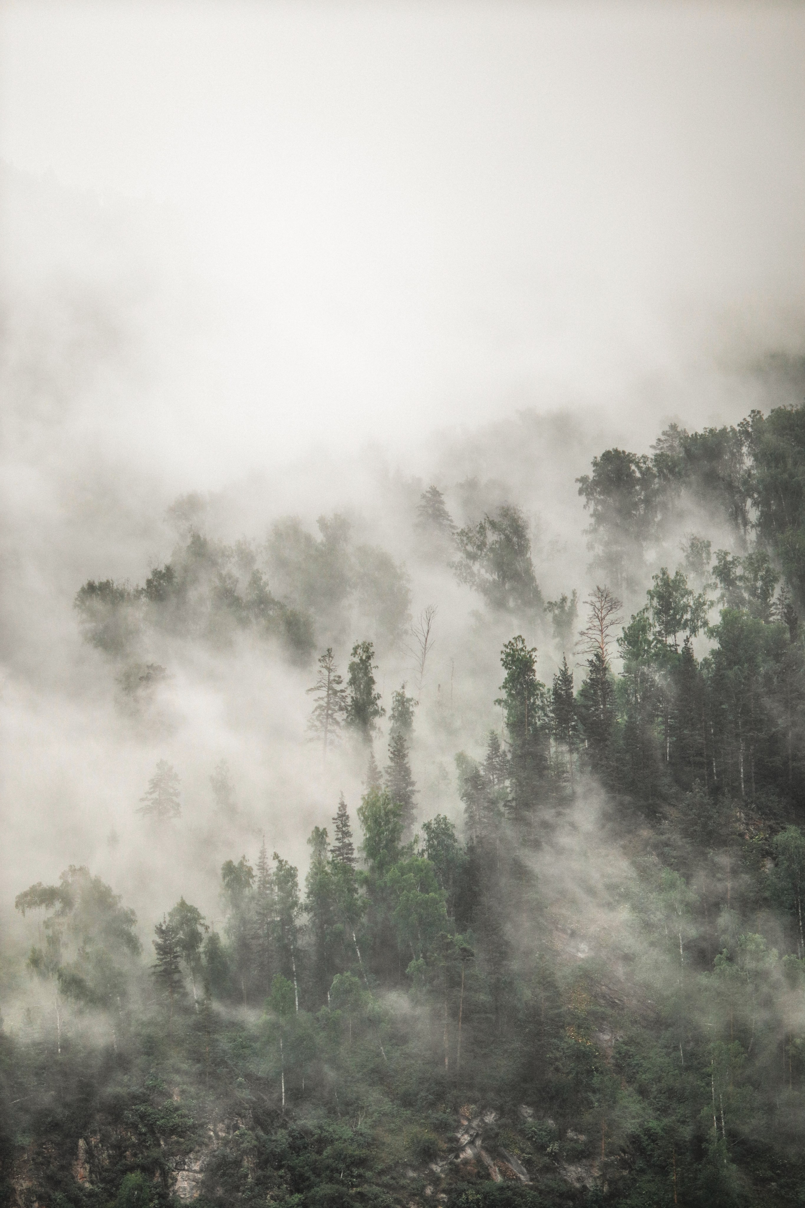 «Красный камень» база отдыха, респ. Алтай. Контент фотограф Дмитрий Борисов