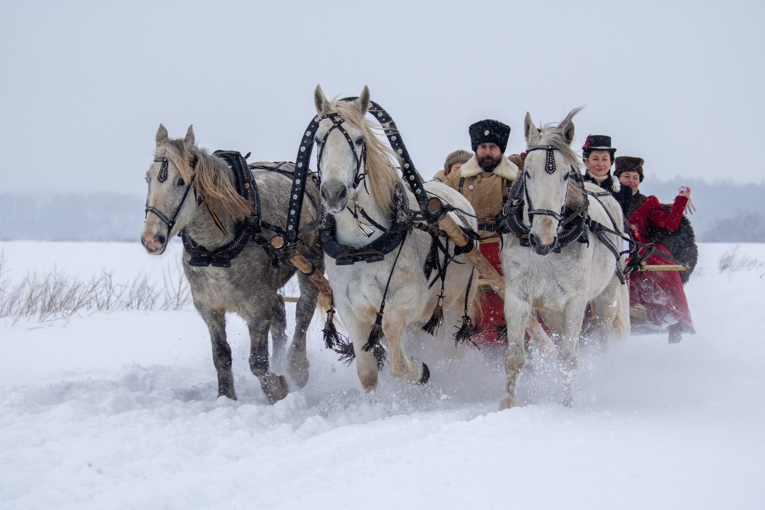 Конно-псовые охоты. Балетный фотограф в Москве Галина Молчанова