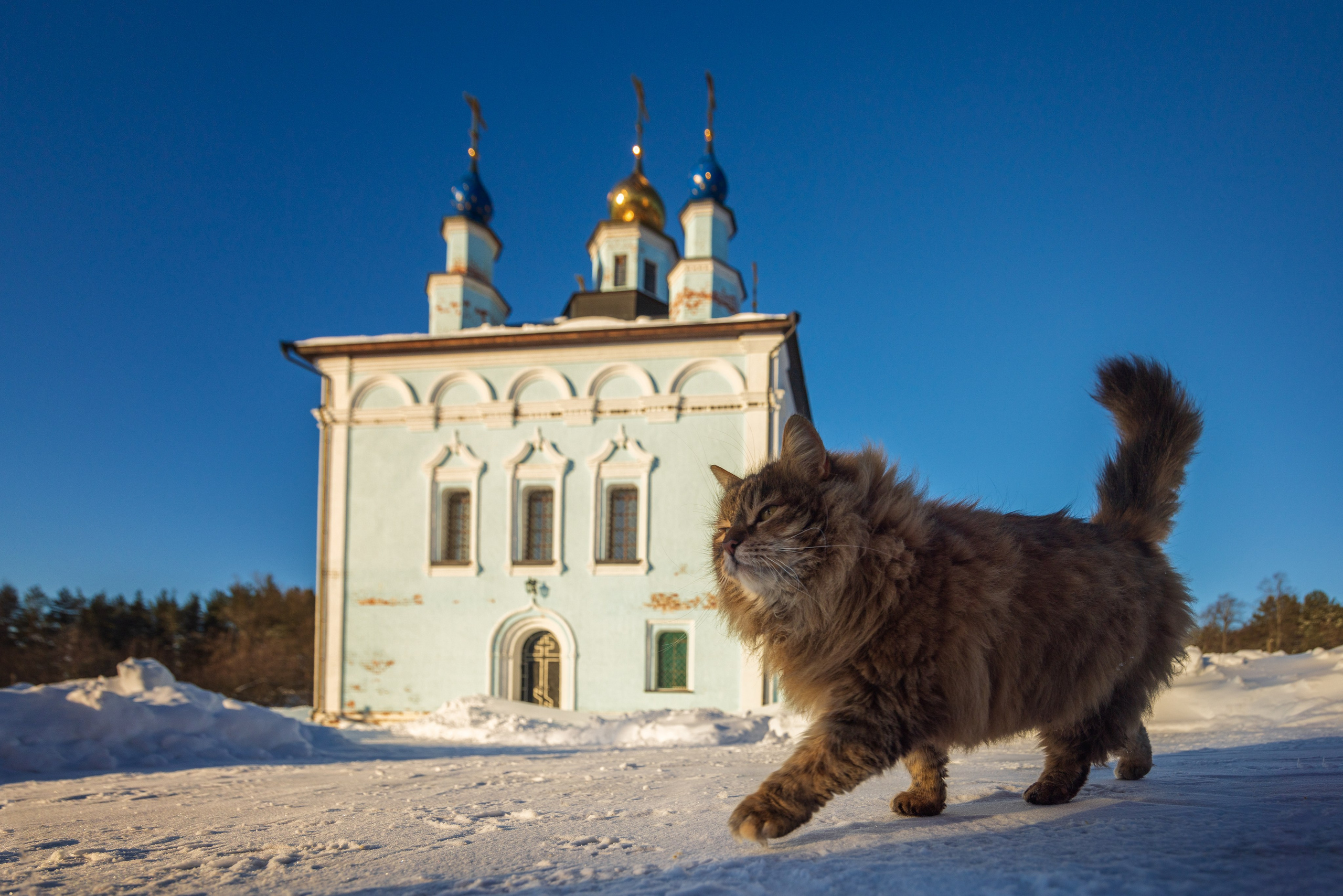 Белевский район. Фотохудожник Артём Парамонов