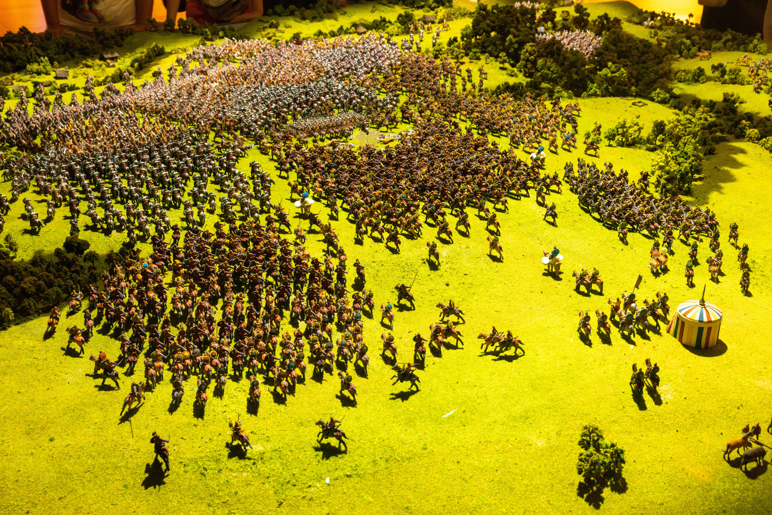 Поездка на поле Кулеково. Фотограф в Туле Крупский АнДРей. Фотостудия «КАДР71» в Туле