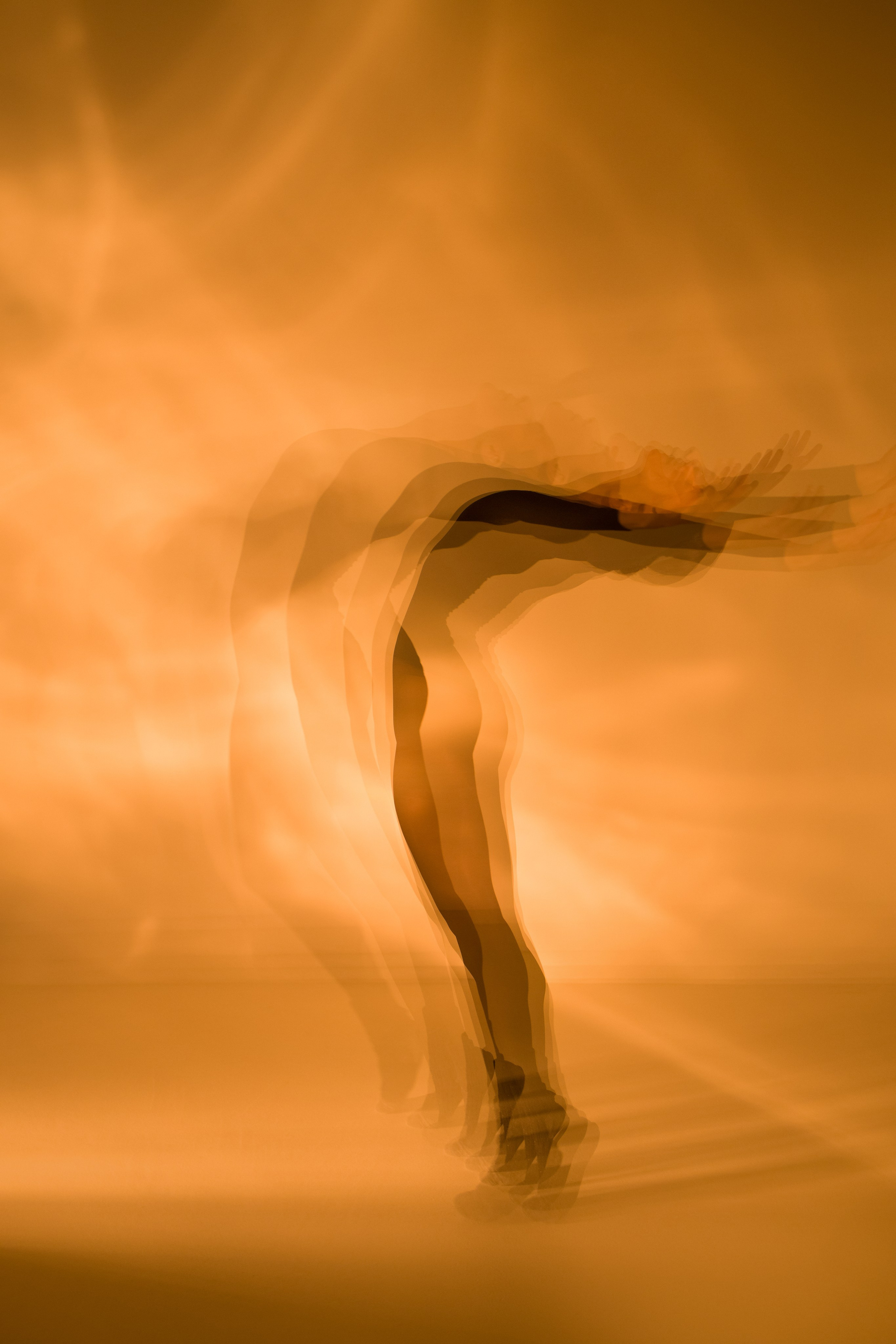 Лилия. Художественная фотография