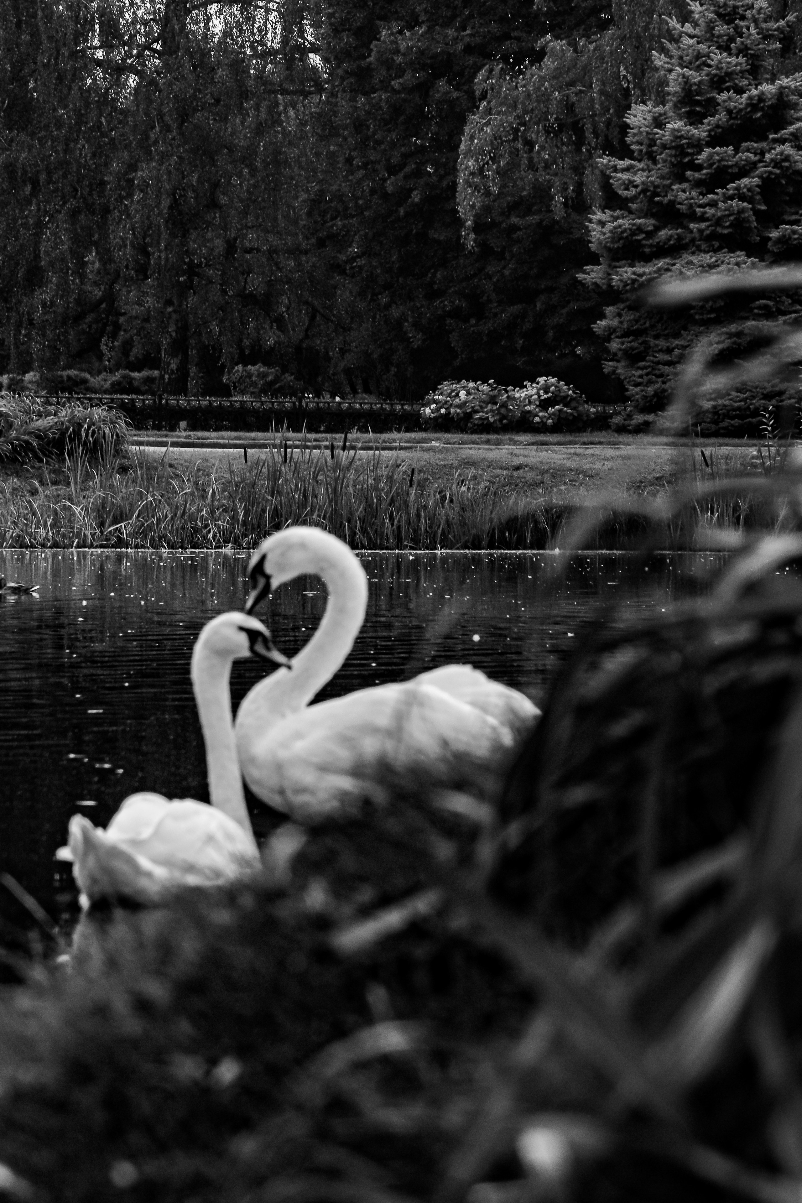 I. Стас Привалов