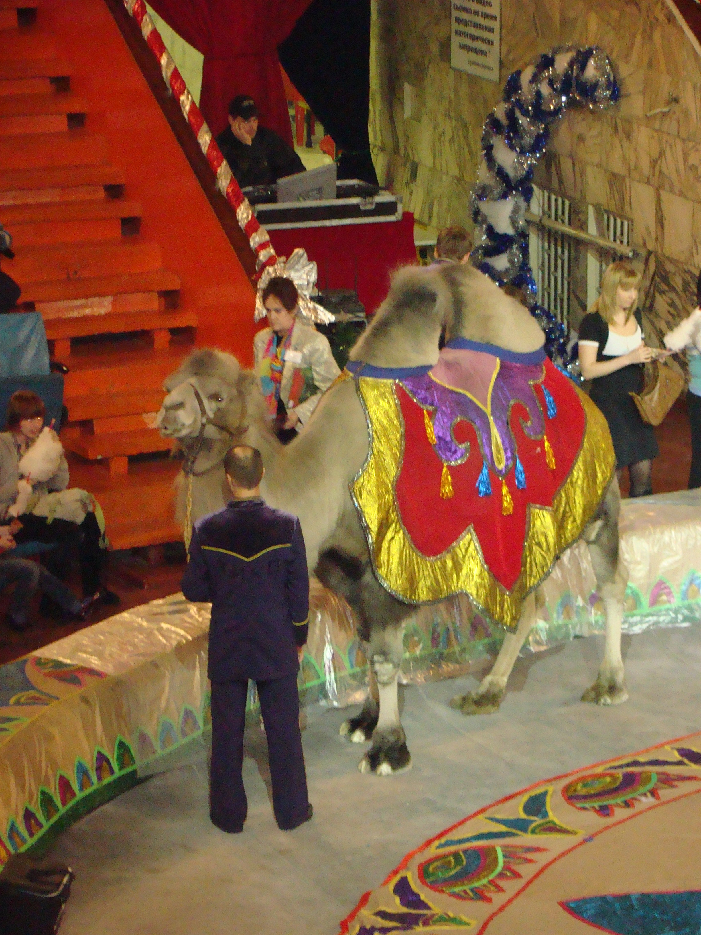 Новый Год. Семейный, Свадебный фотограф СПБ Питер— Романова Екатерина