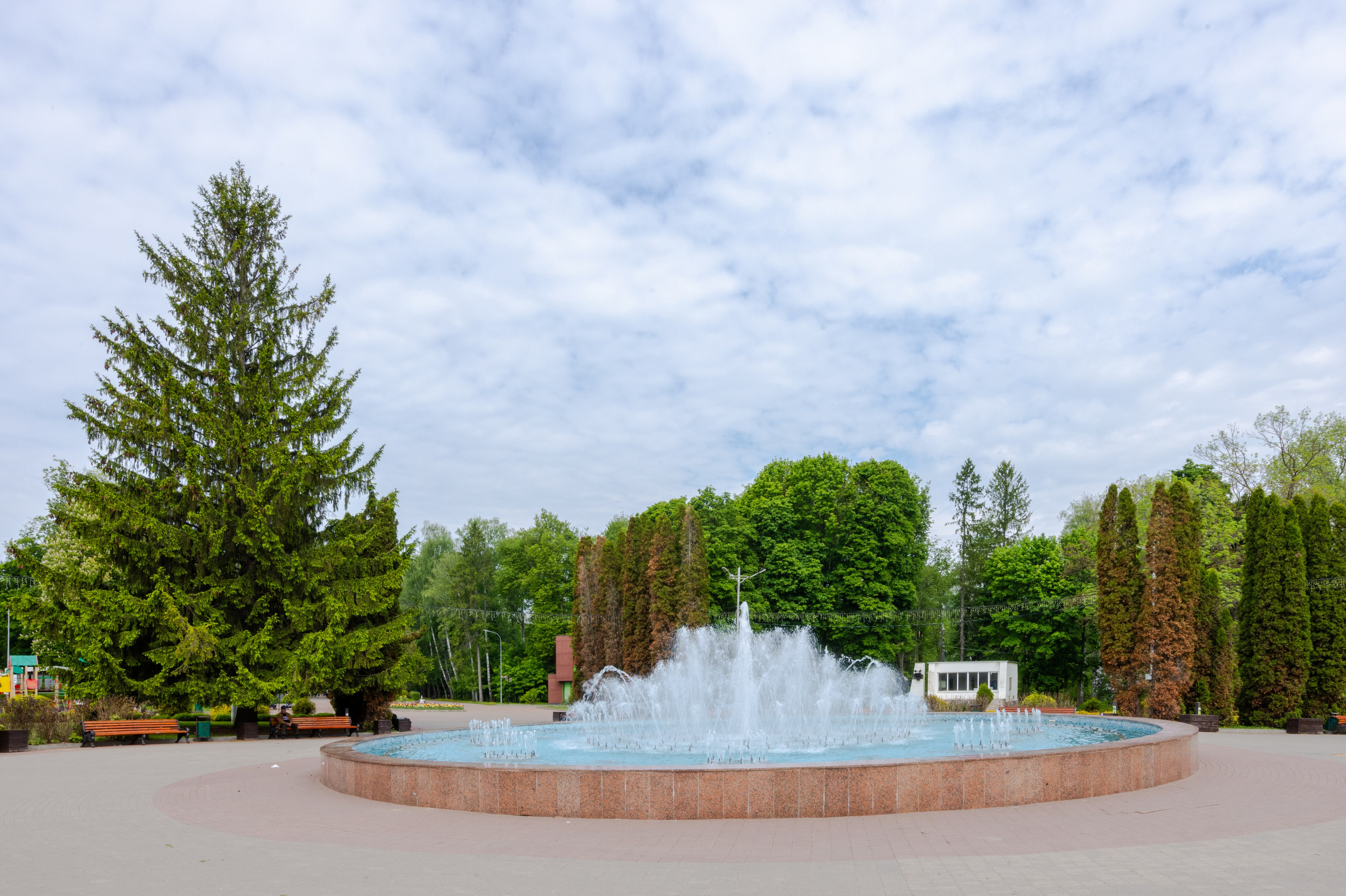 Парк им. П. П. Белоусова г. Тула 2024 г. Фотограф в Туле Крупский АнДРей. Фотостудия «КАДР71» в Туле