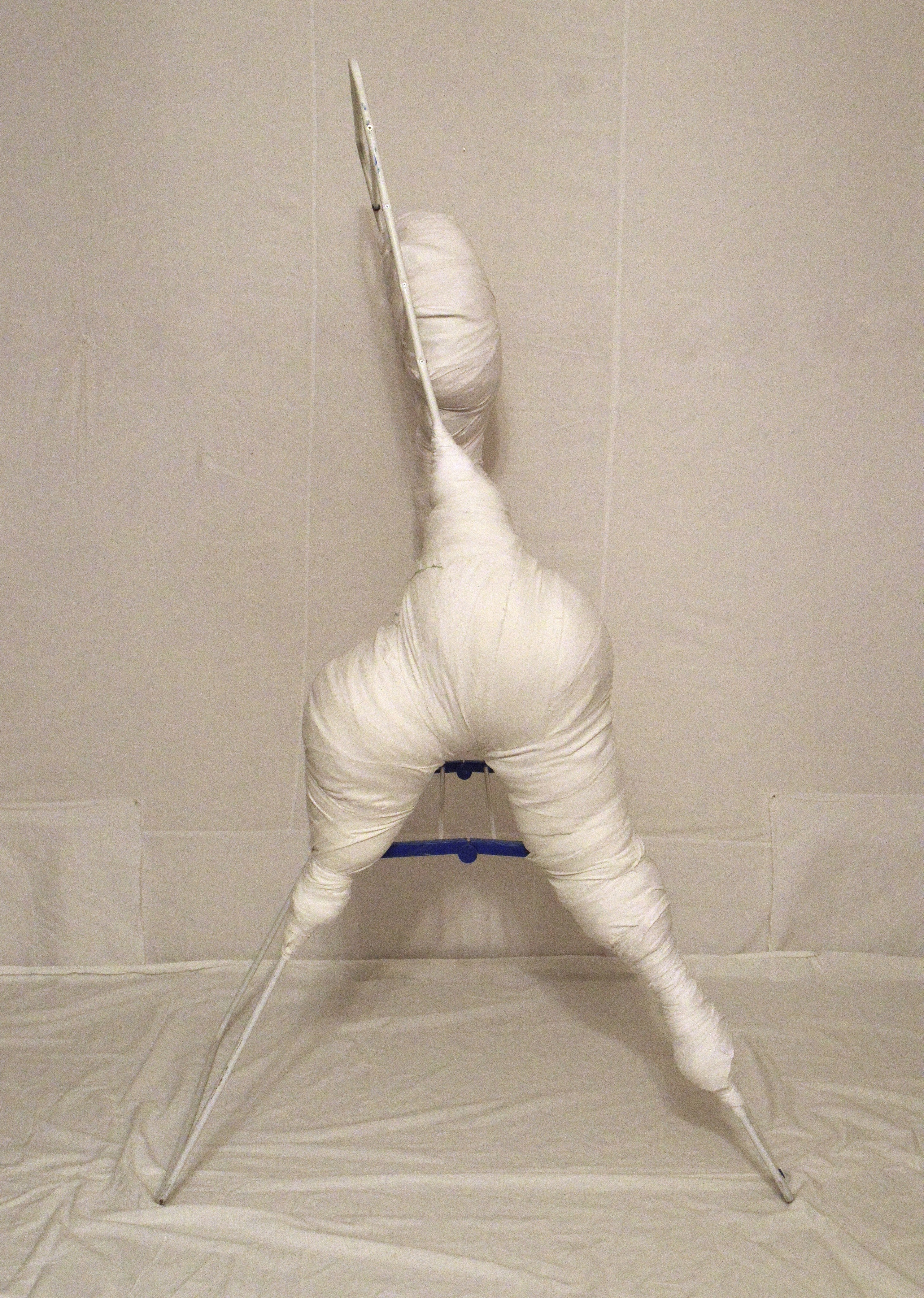 (Не)античные торсы 2025. Лилия Ким. Междисциплинарный художник