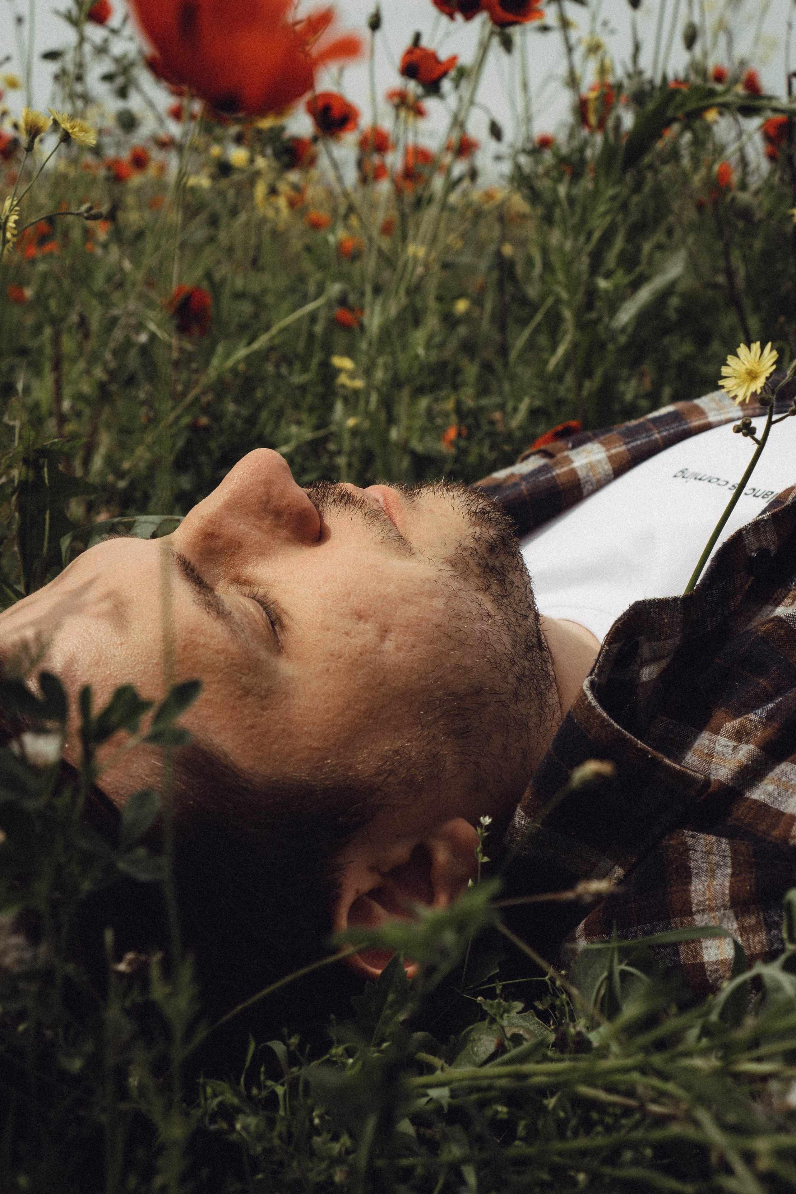 Маки. Профессиональный фотограф, Санкт-Петербург — Виктория Богомолова