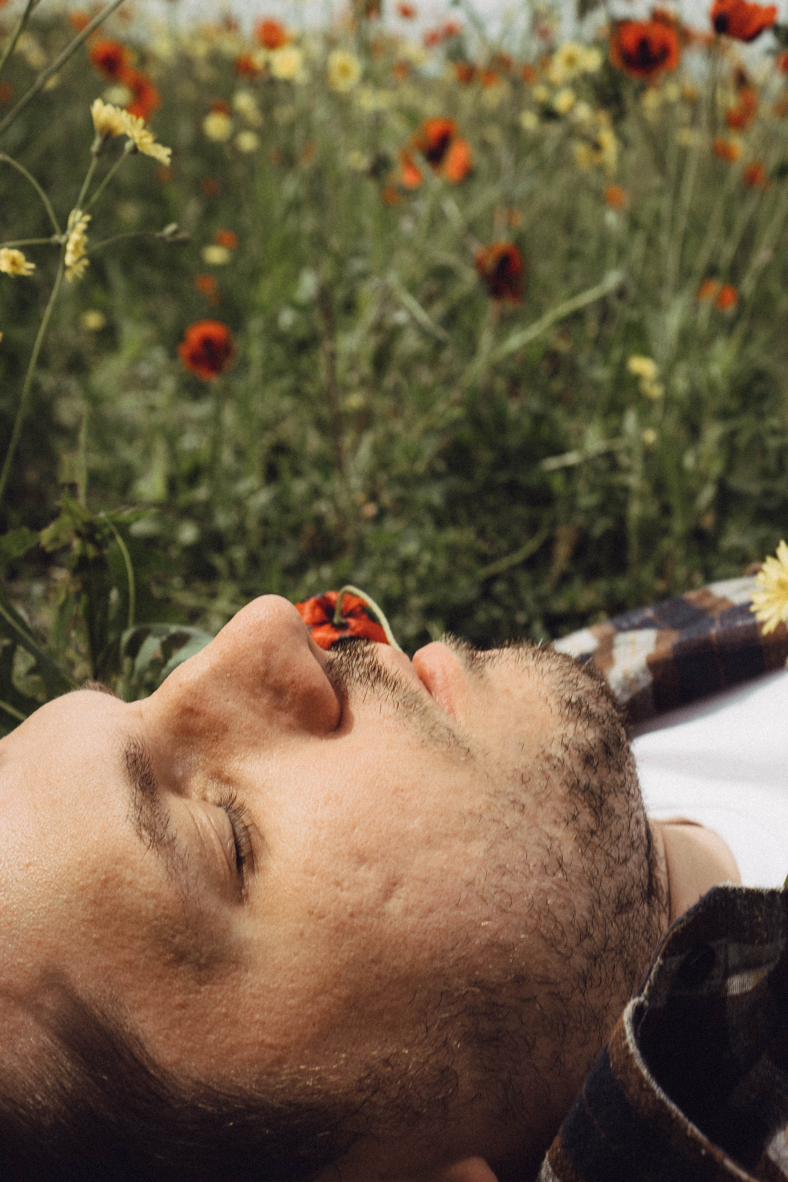 Маки. Профессиональный фотограф, Санкт-Петербург — Виктория Богомолова