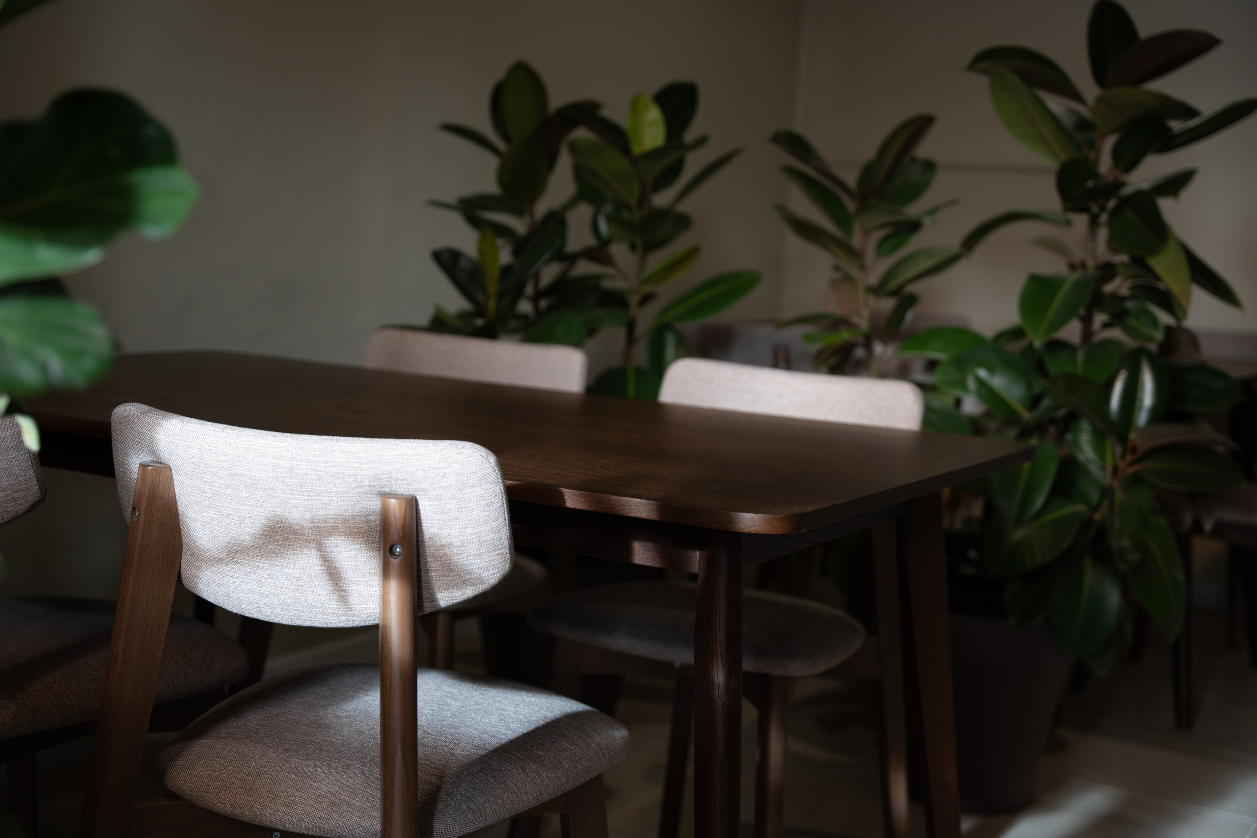 Love and Coffee — Кофейня — фудфото и видео. Шедевры для Вас! Фотограф и Видеограф в Краснодаре Пахиев Руслан