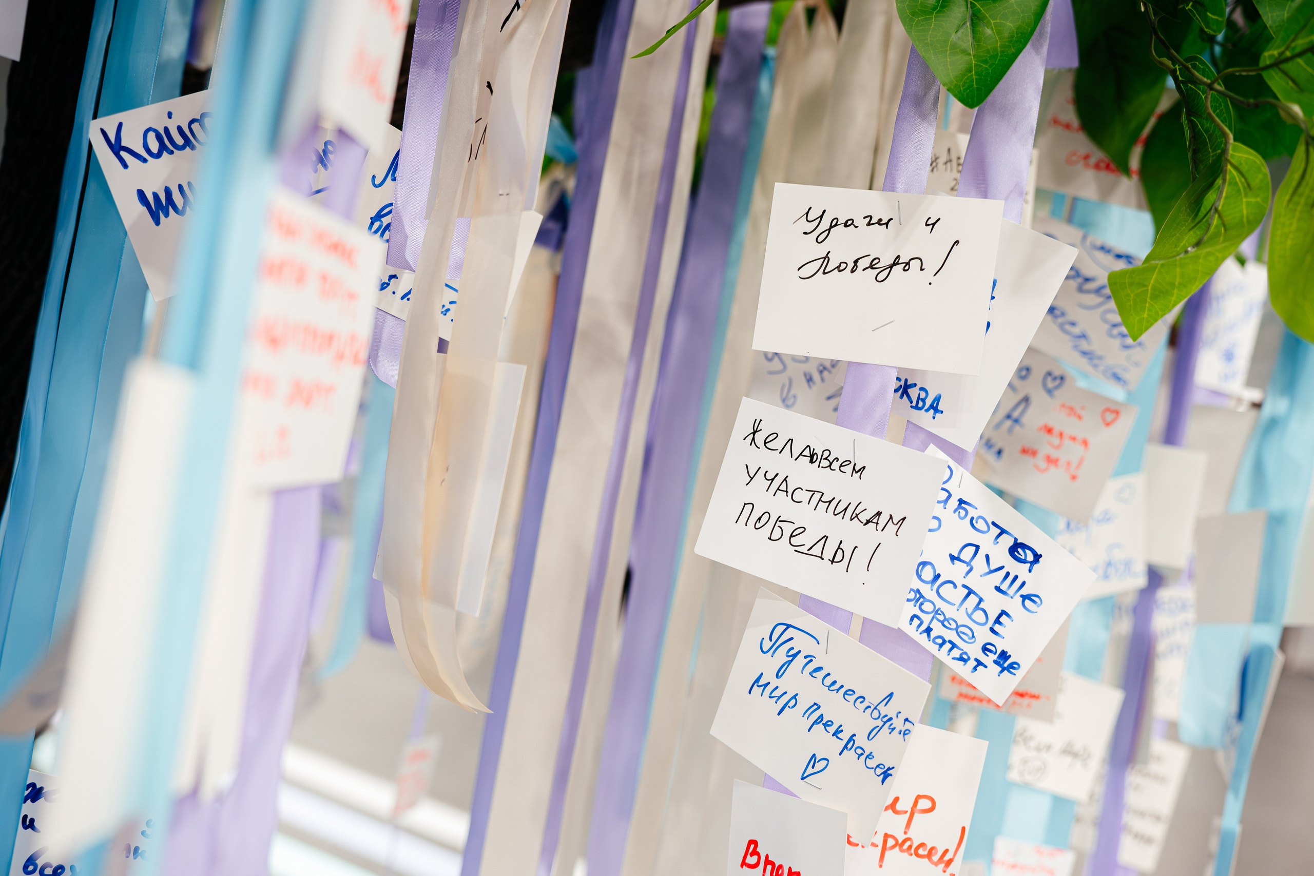 Абилимпикс 2025. Коммерческий фотограф в Санкт-Петербурге Анна Кобзарь