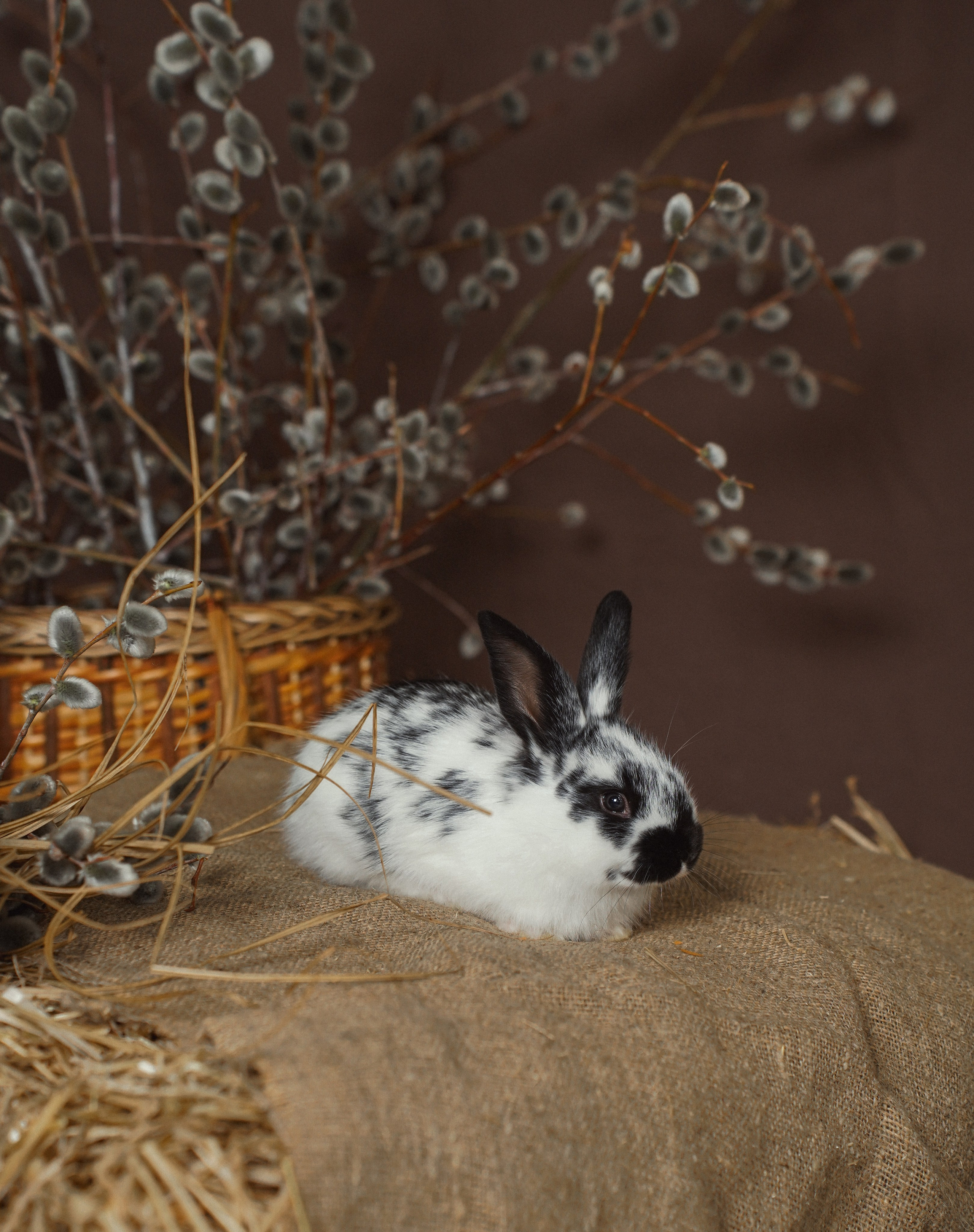 Пасхальный фотопроект. Фотограф Иркутск / Хомутово