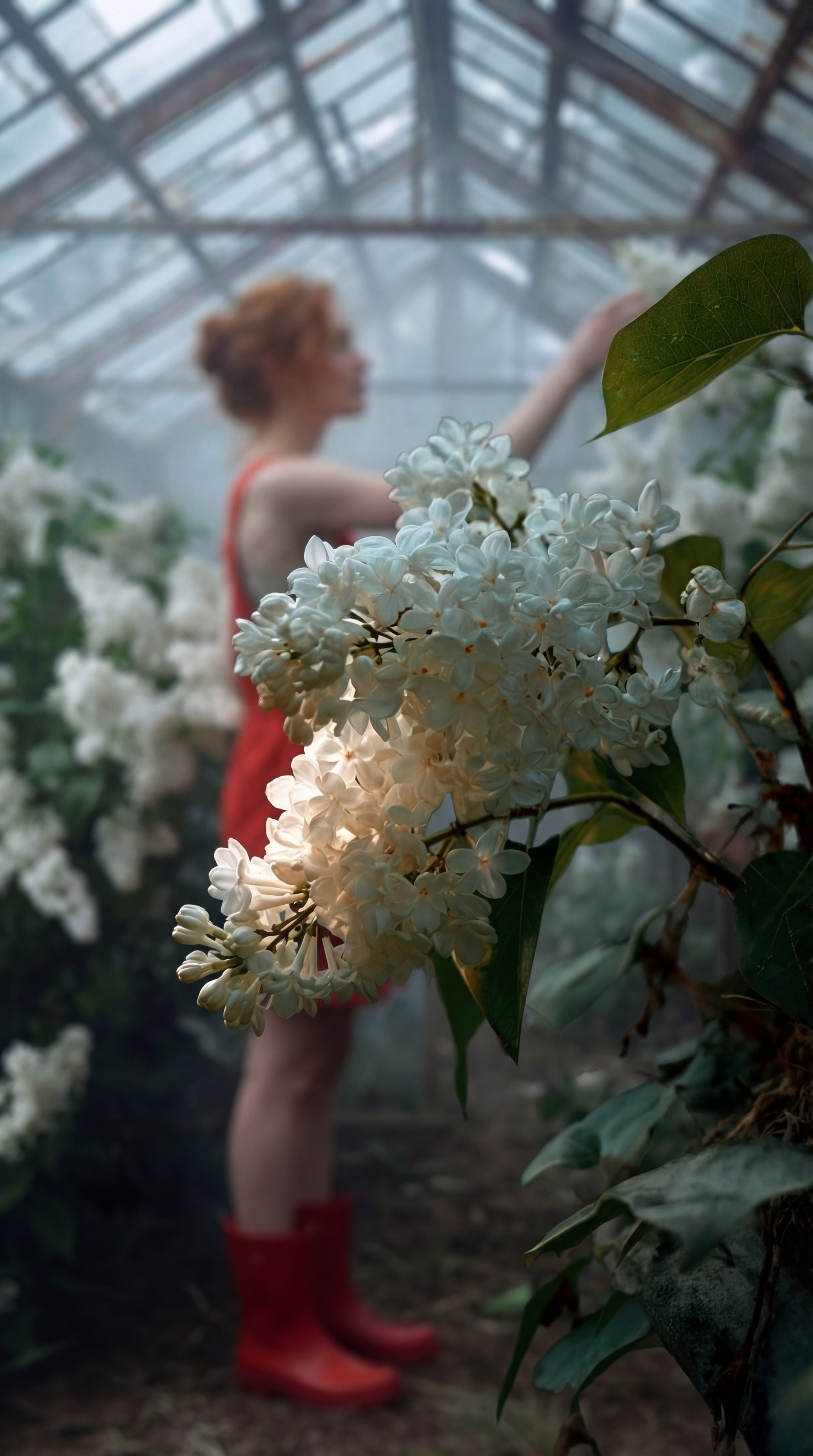 AI-съёмка рыжей девушки среди белых цветов в оранжерее, нейро-контент для fashion-бренда, AI-визуал атмосферная съёмка в оранжерее