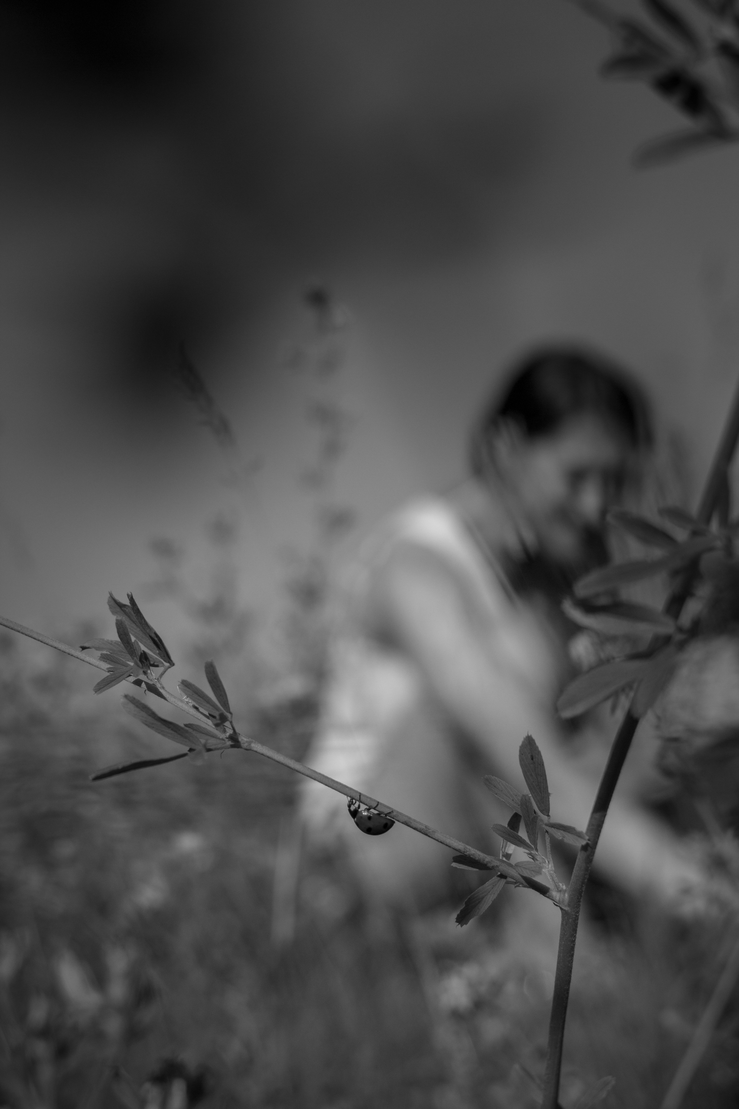 СОЛНЕЧНАЯ. Фотограф в Иркутске Лилия Бабченко