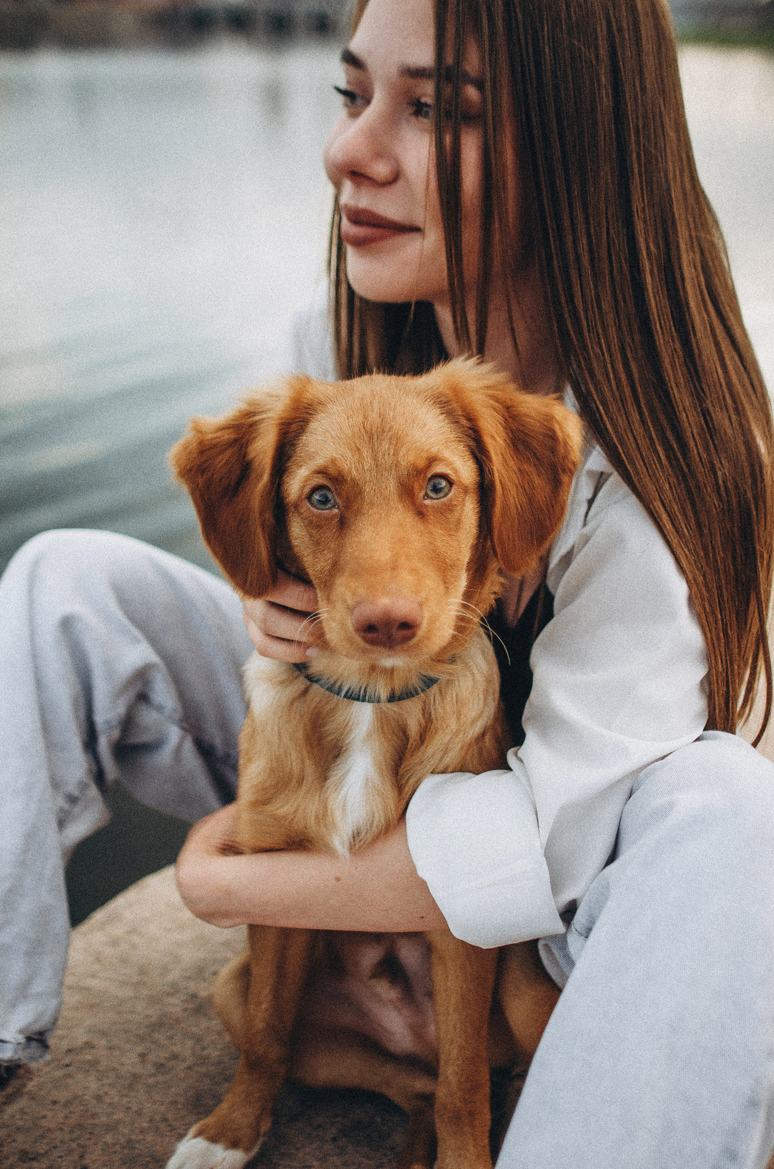 Вика и Хардин. Фотограф-анималист Богданова Полина