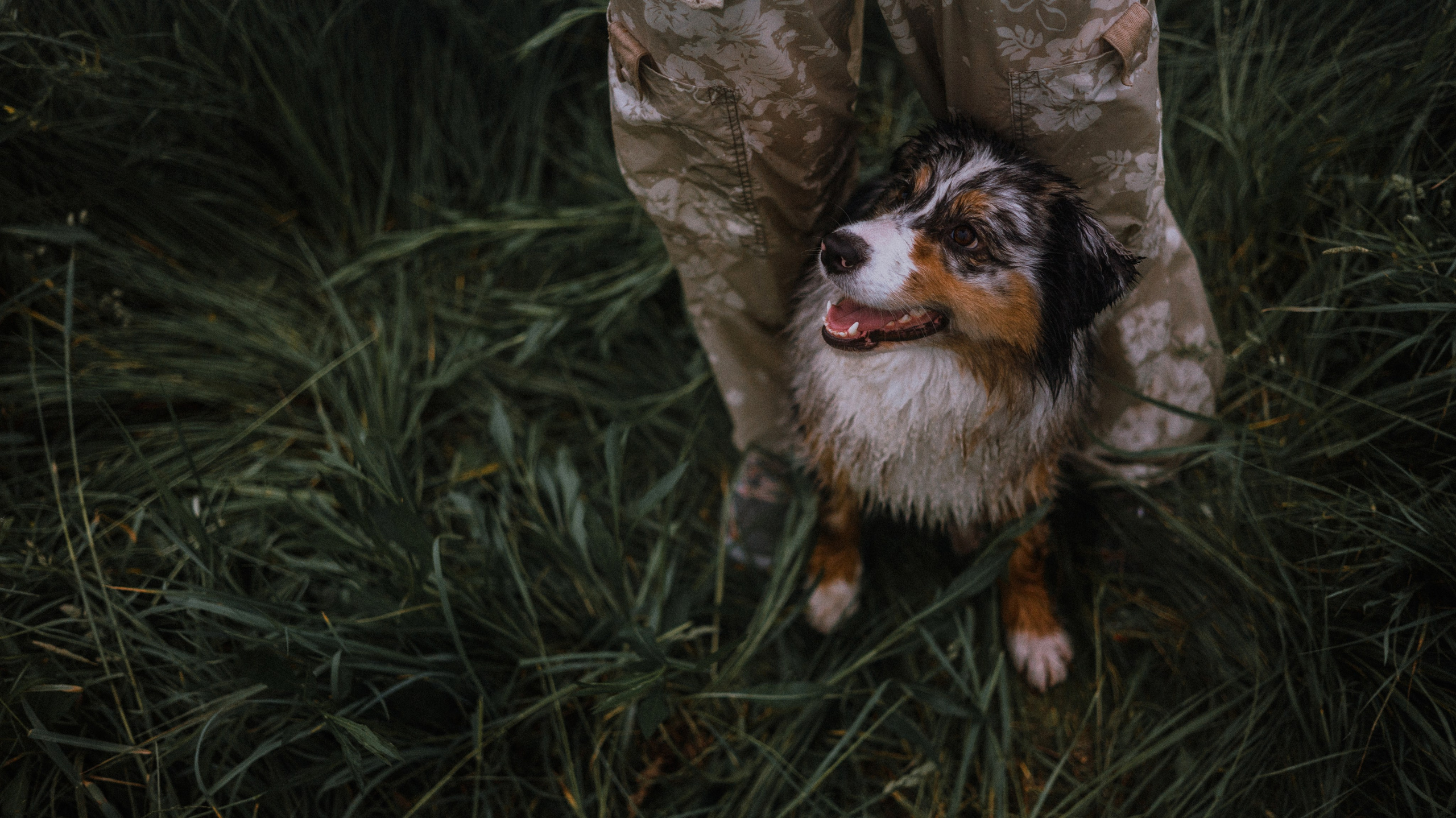 Маша и Долли. Фотограф-анималист Богданова Полина