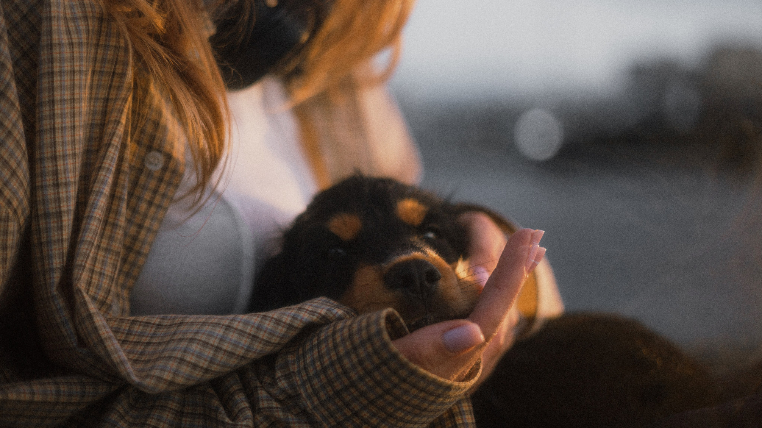 Аня и Ривер. Фотограф-анималист Богданова Полина