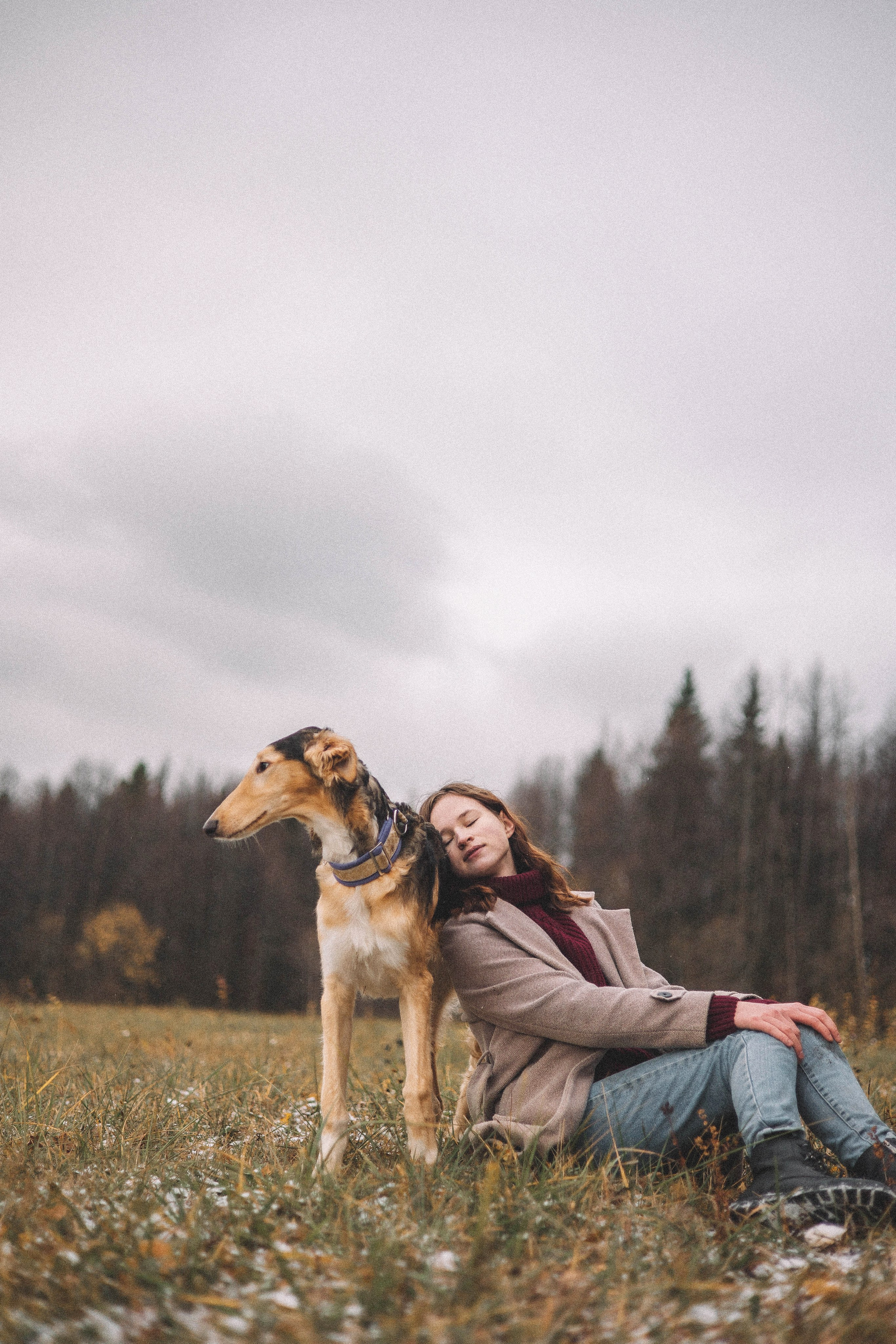 Алена, Леви и Микаса. Фотограф-анималист Богданова Полина