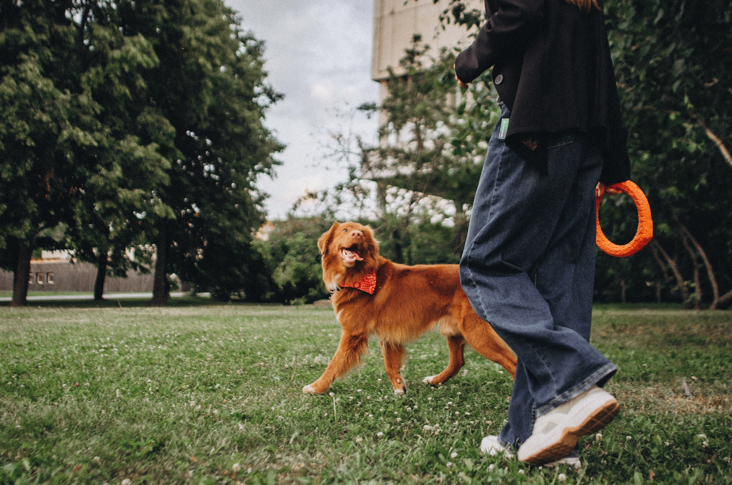 Алина и Бис. Фотограф-анималист Богданова Полина
