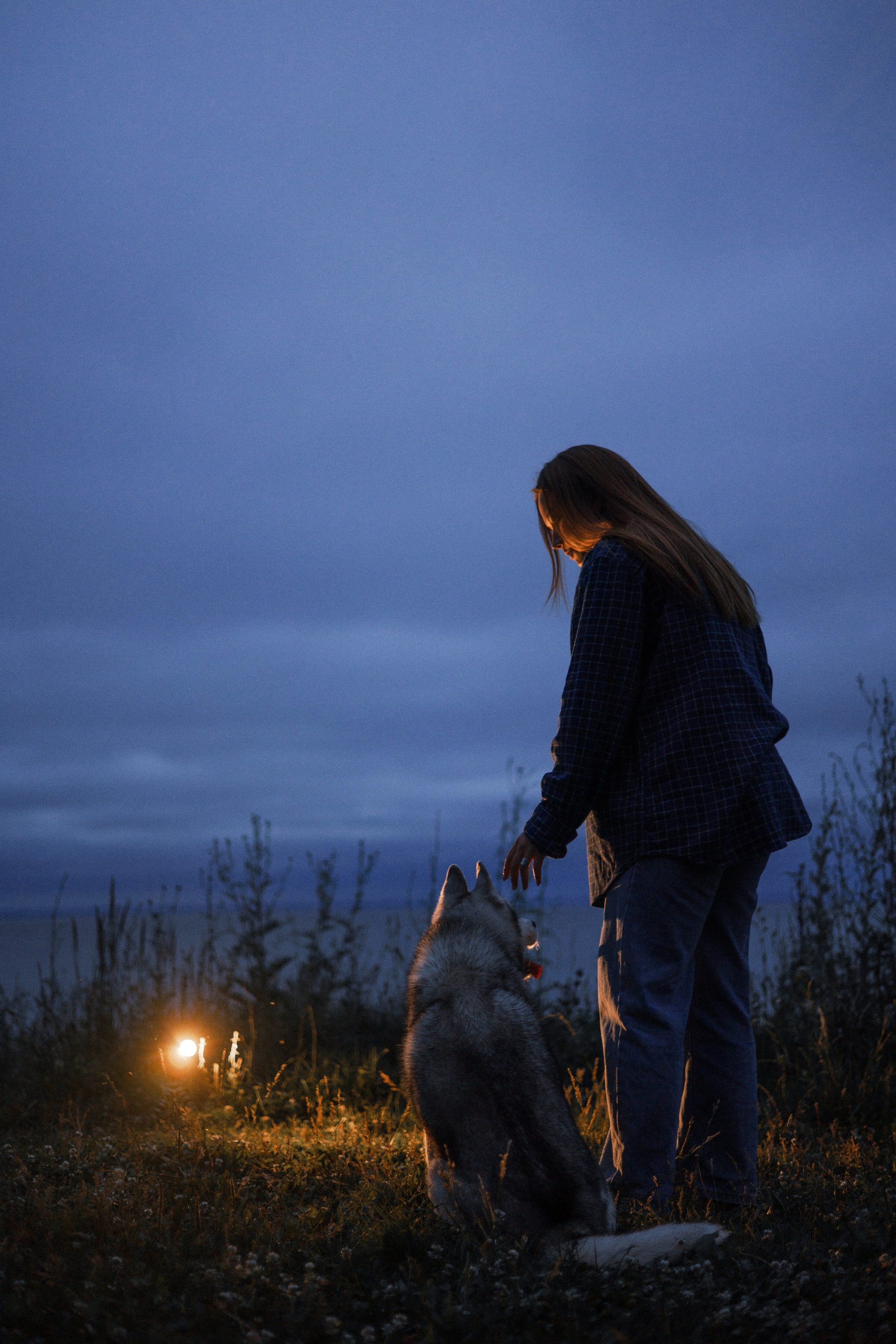 Аделя, Вандер, Шайна и Бая. Фотограф-анималист Богданова Полина