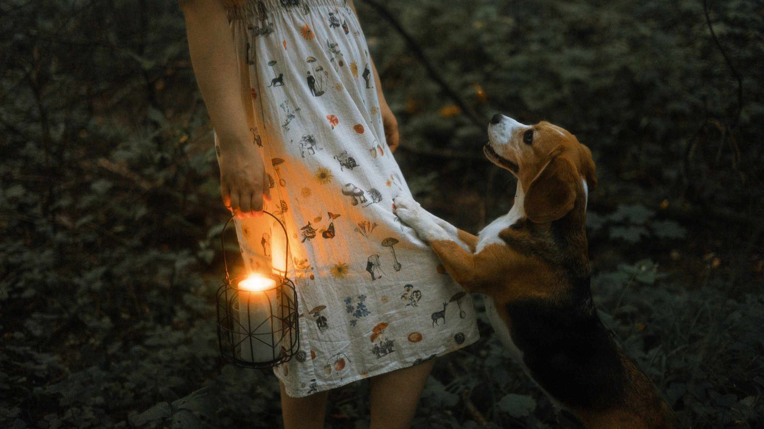 Лиза и Сара. Фотограф-анималист Богданова Полина