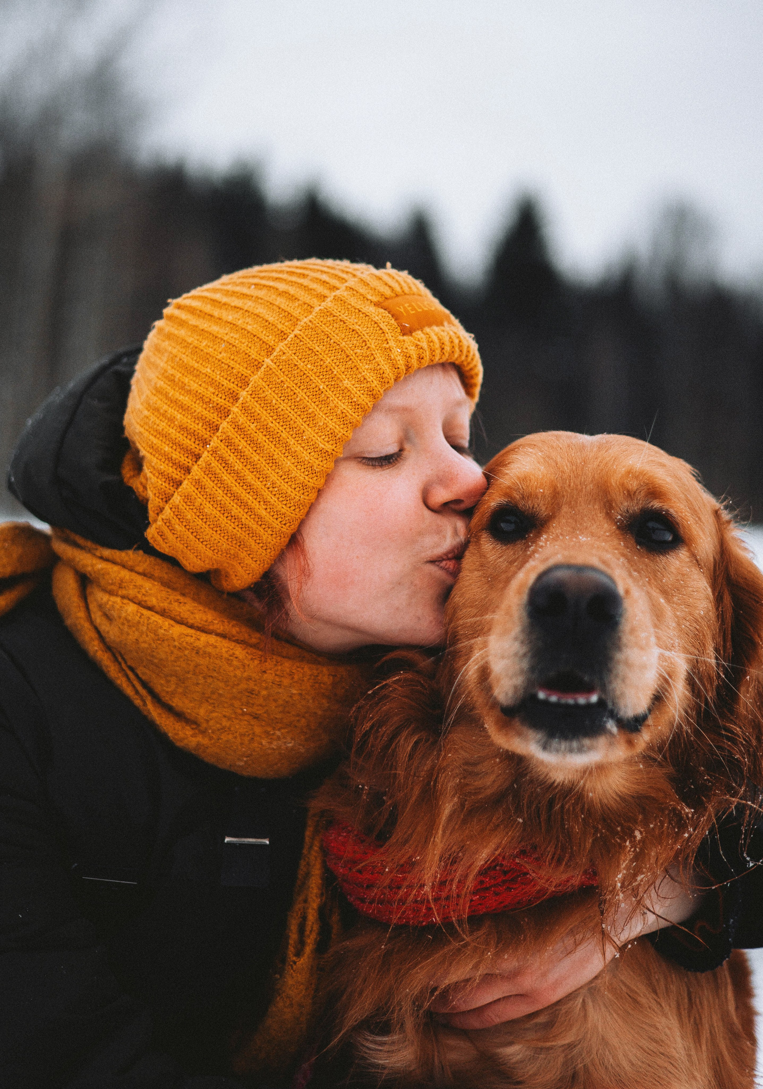 Саша, Юля, Грэй и Джой. Фотограф-анималист Богданова Полина