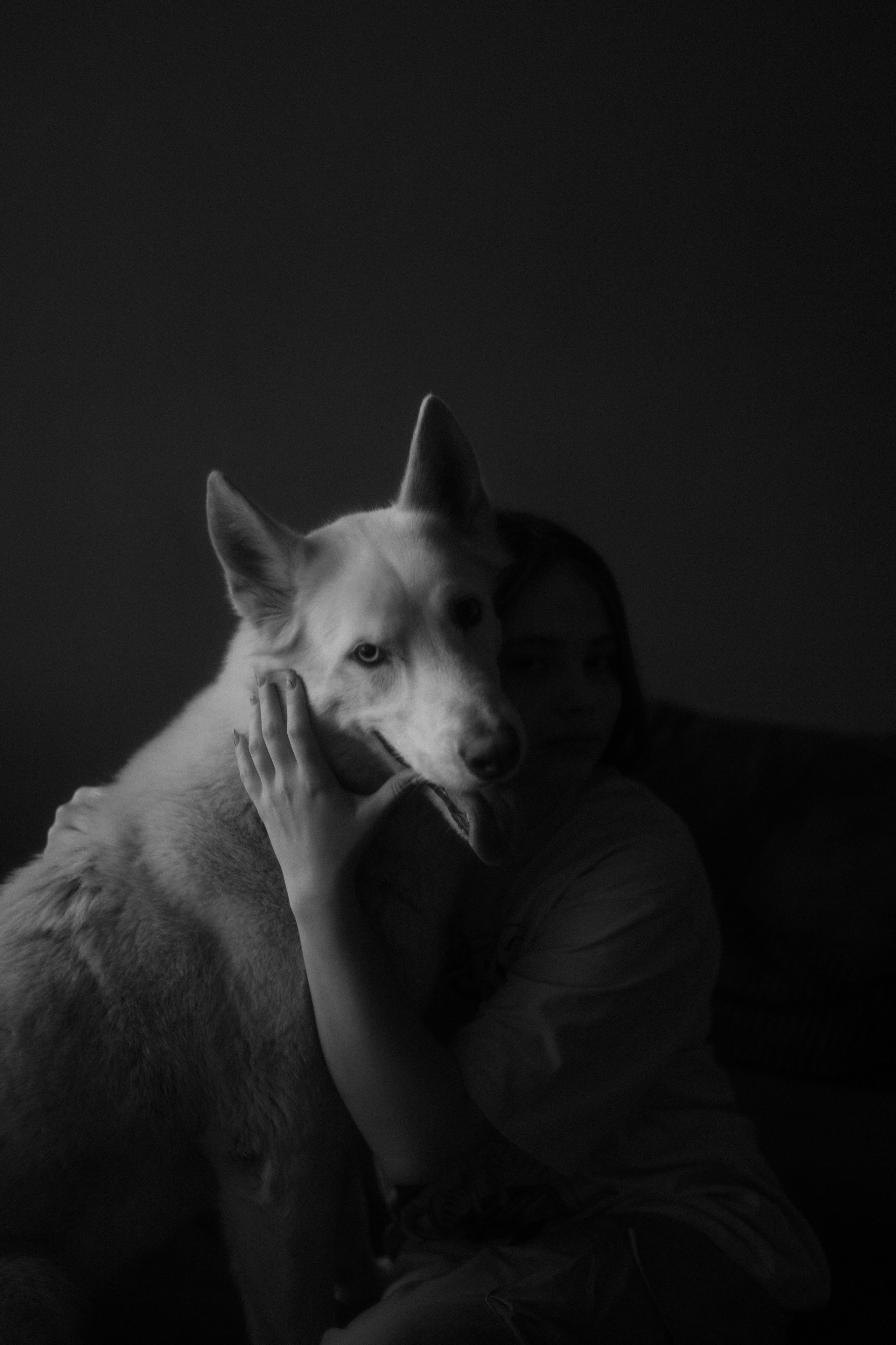 Аня, Дэймон и Грэй. Фотограф-анималист Богданова Полина